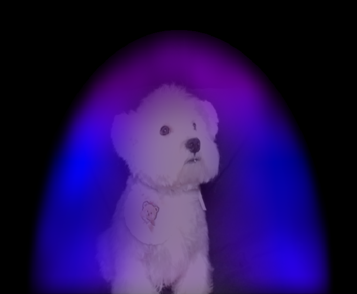 Dollar1.png