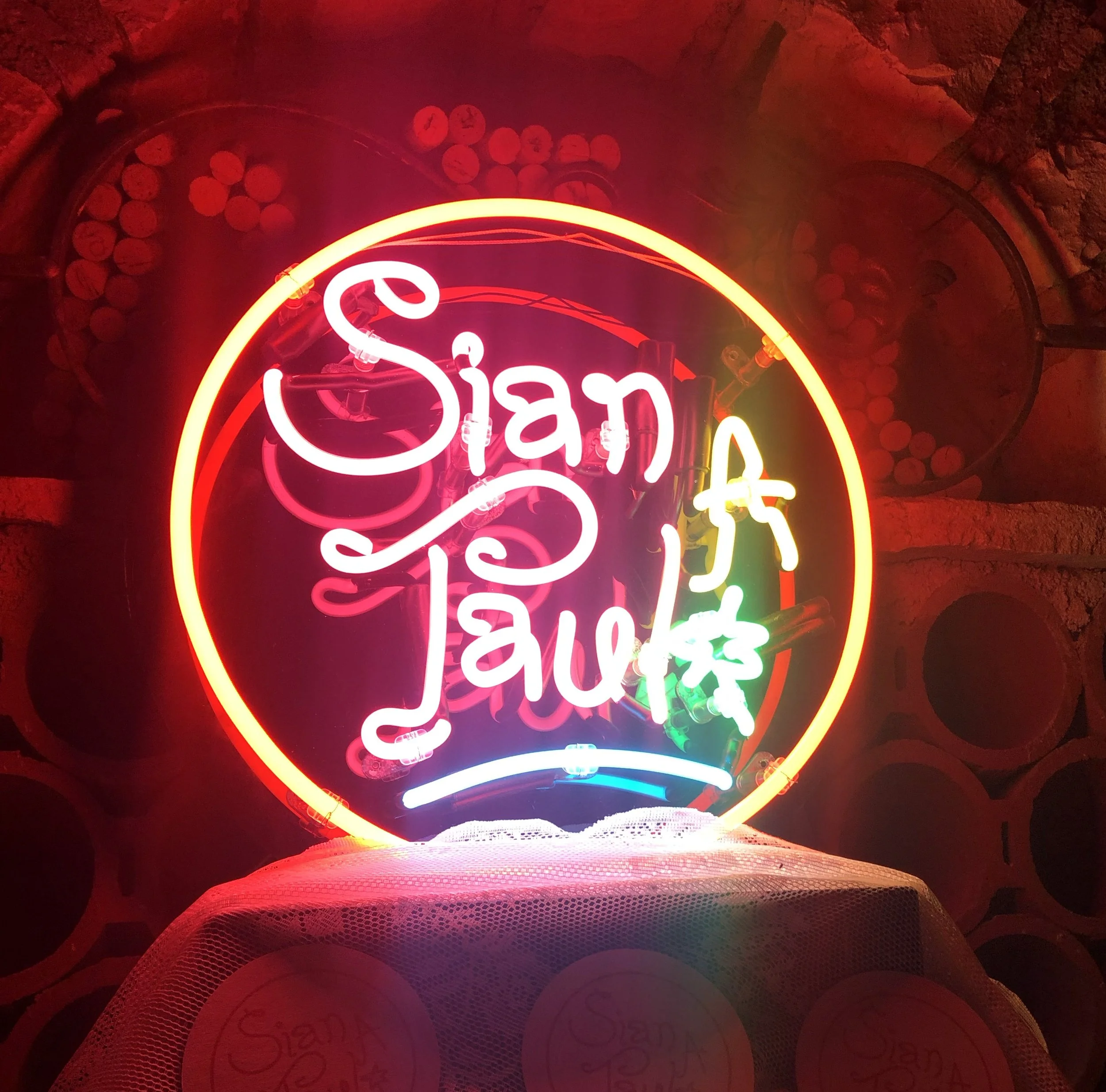 SIANAPAUL.jpg