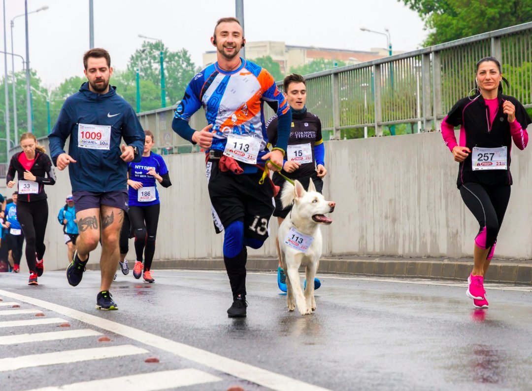 Marathon Training: What Is Zone 2 / Endurance?
