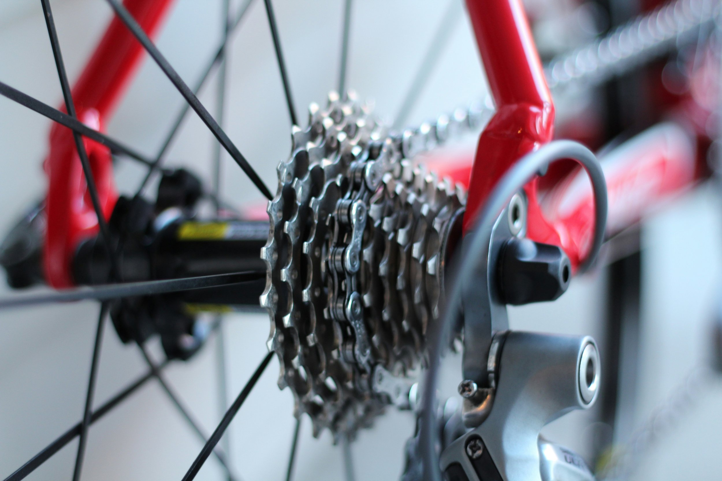 How to Improve Your VO2 Max on the Bike (Without Burning Out)