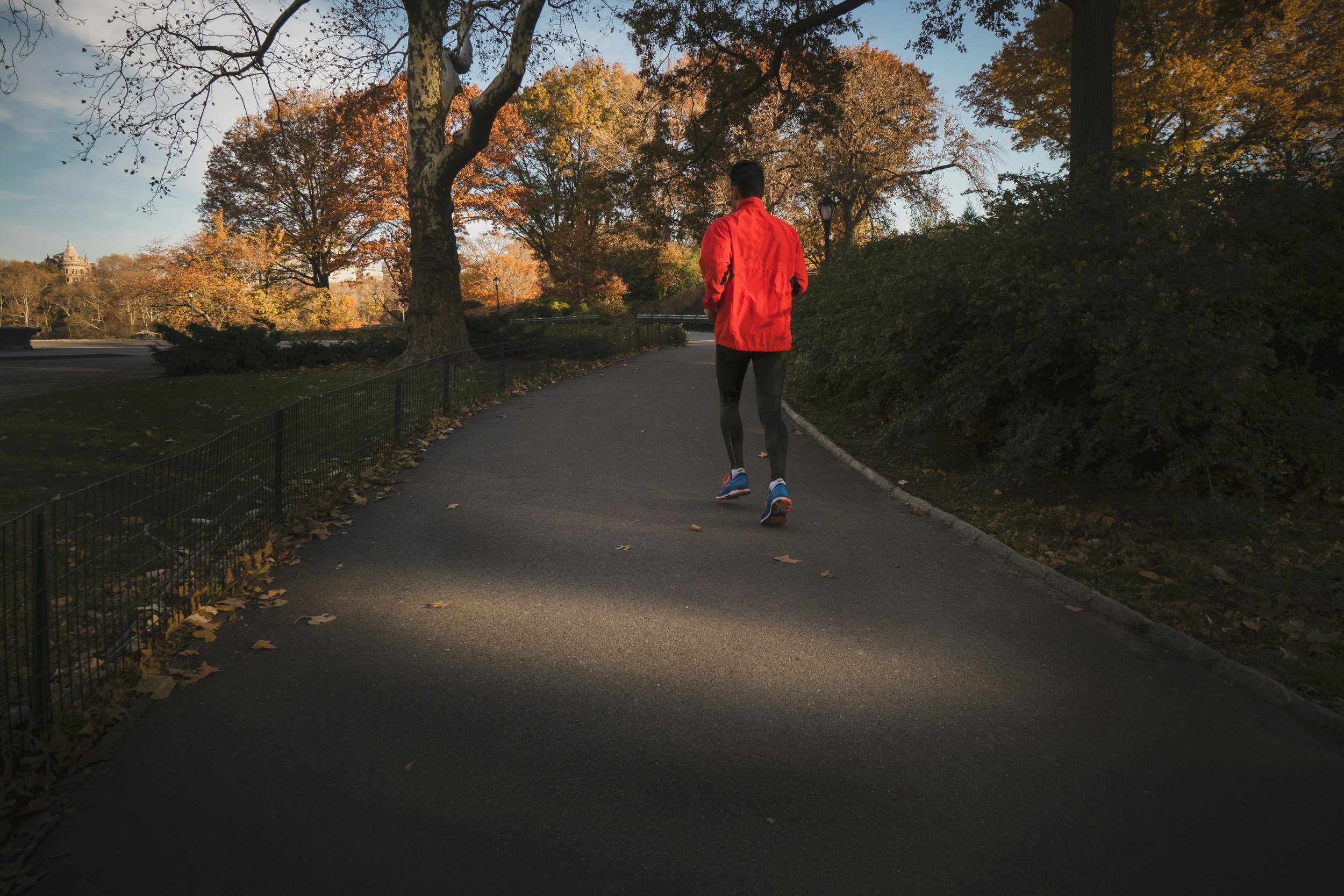 Half Marathon Training: What Is Zone 3?