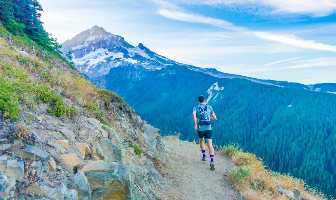 Half Marathon Training: What Is Zone 1 / Recovery?
