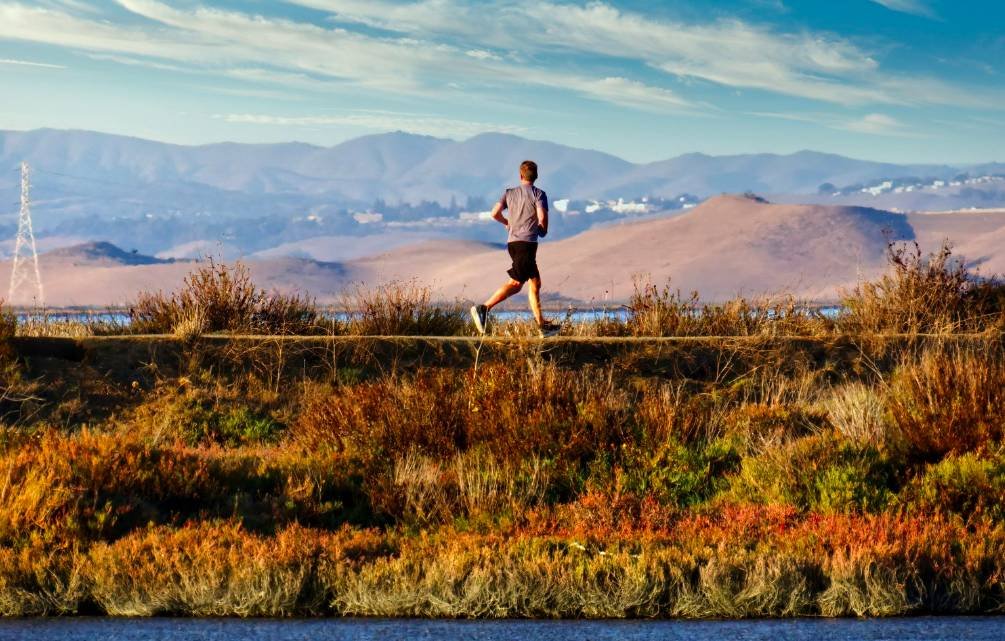 10K Running: Long Run Benefits