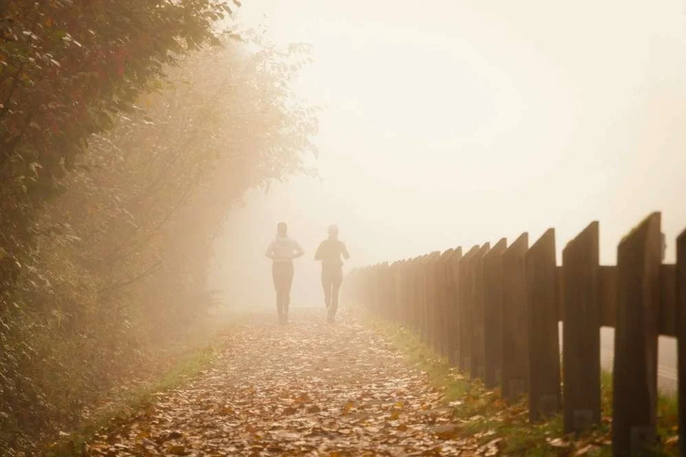 Olympic Triathlon: What Is Zone 2 / Endurance Training?
