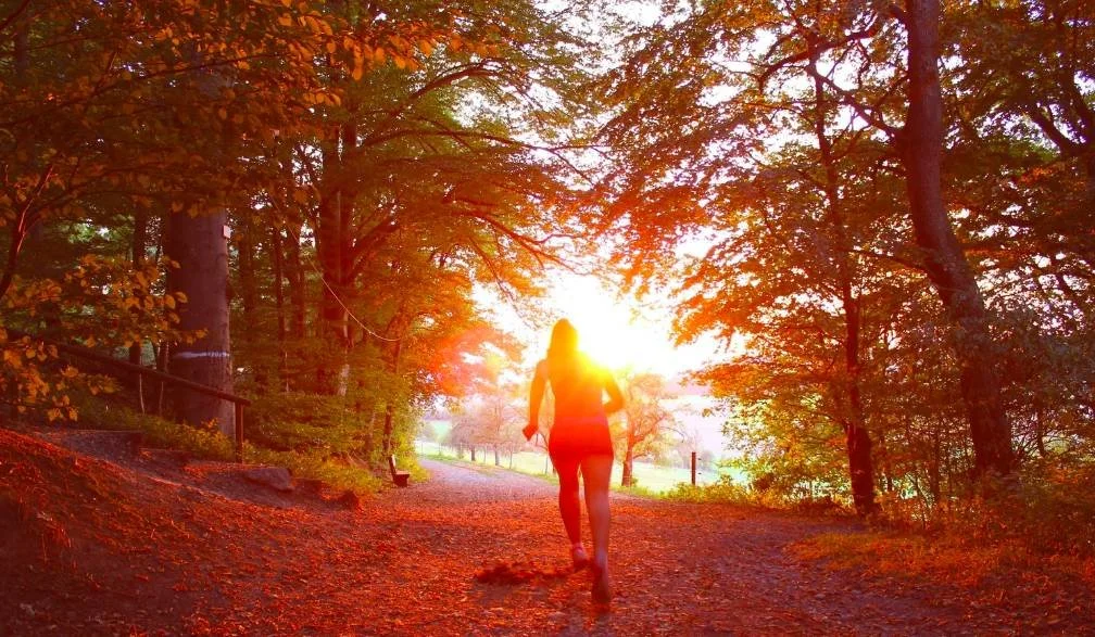 Failure Is Feedback: How to Use Setbacks to Fuel Your Growth
