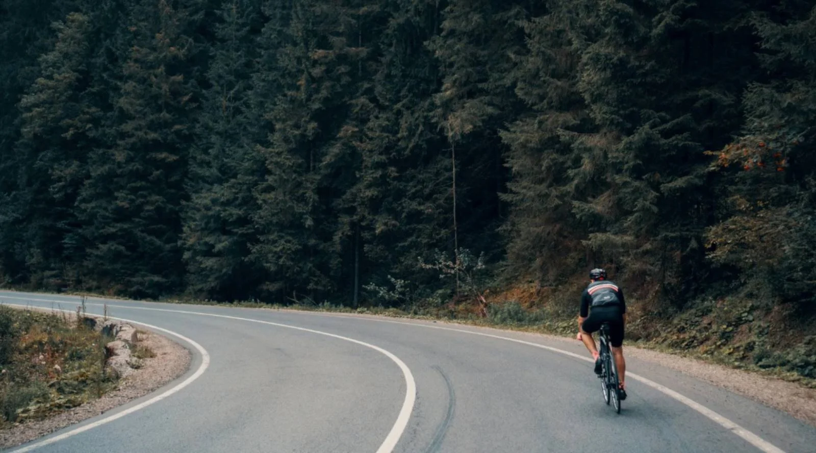 Cyclist riding alone on a quiet road, reflecting perseverance and reconnecting with purpose.
