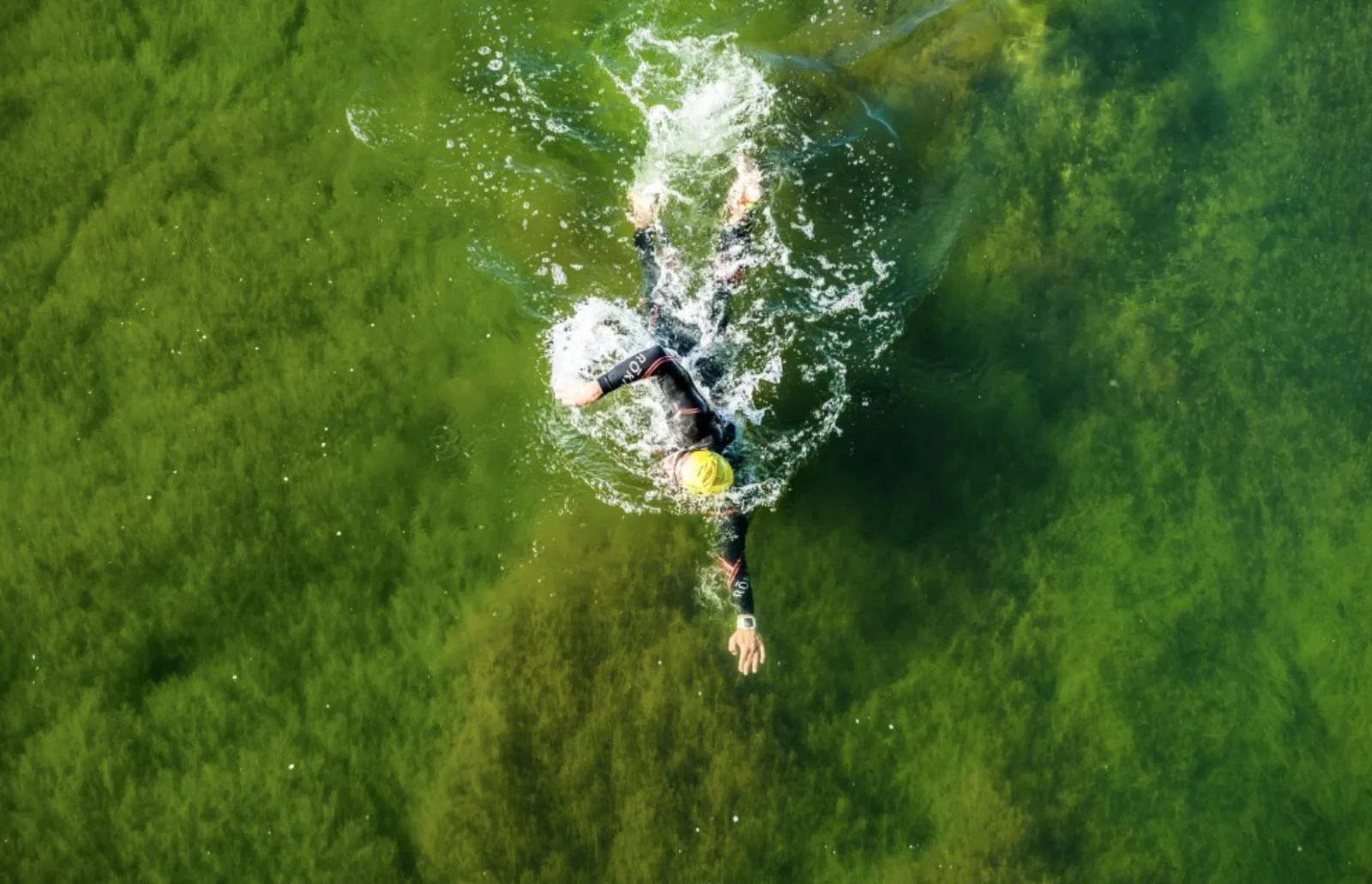A lone open water swimmer viewed from above, representing fear of loss and setbacks during long term endurance training.