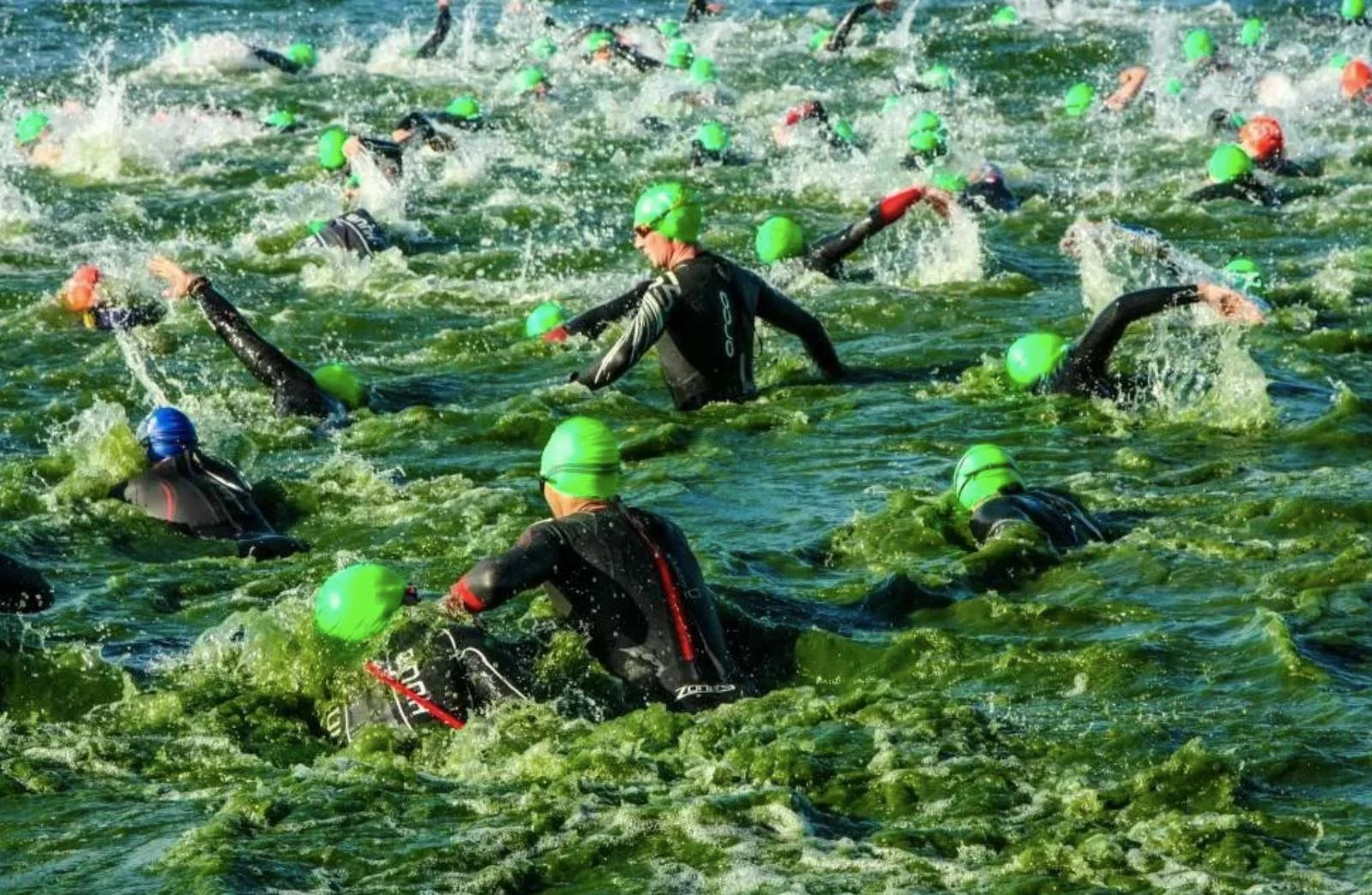 Des nageurs en eau libre s'affrontent au départ, malgré la foule, symbolisant le retour à la constance et à la concentration
