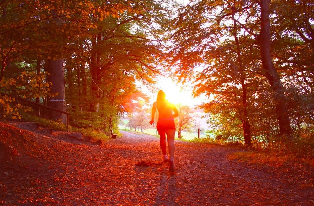 10K Run Training: 10 Tempo Sessions
