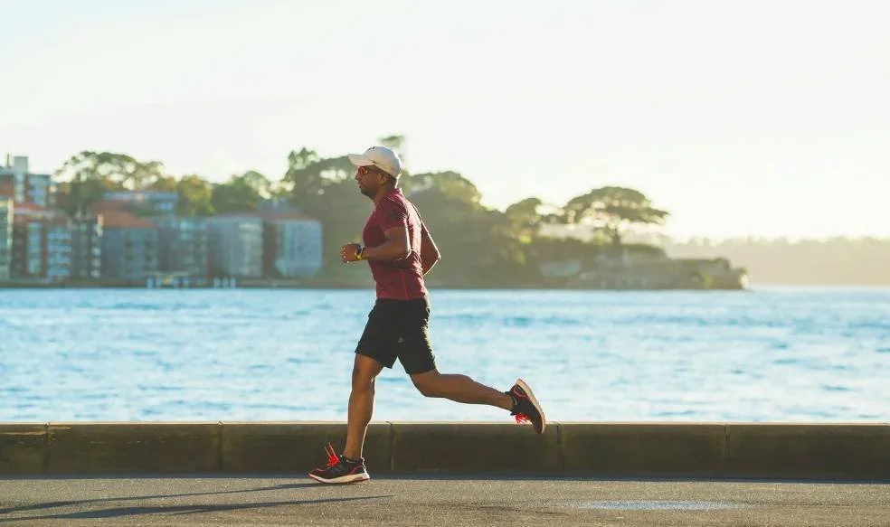 The Role of Dopamine in Addiction and Training