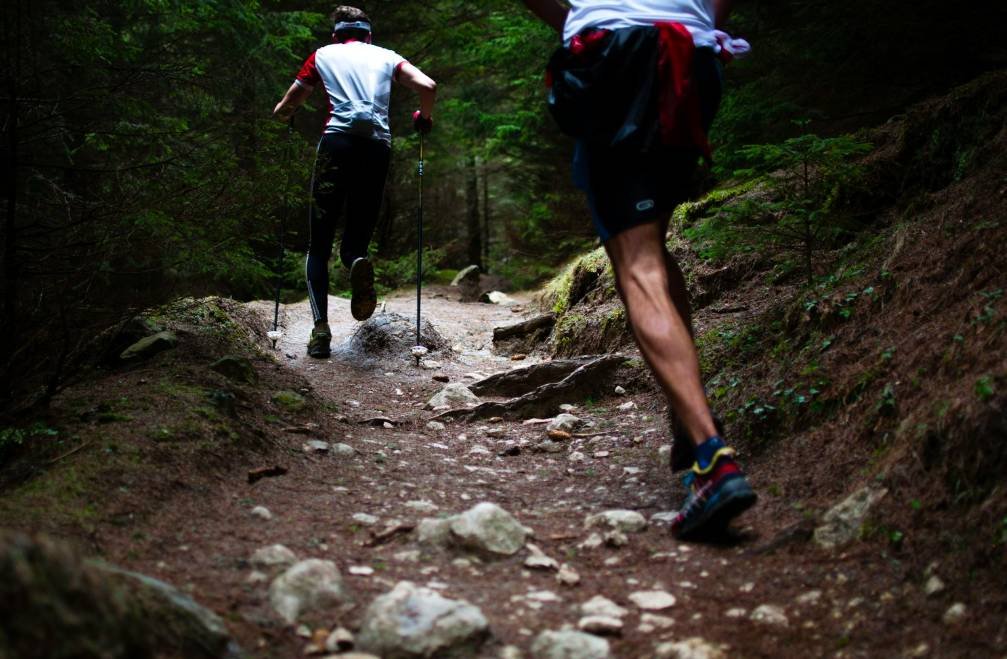 Half Marathon Training: 10 Essential Sessions