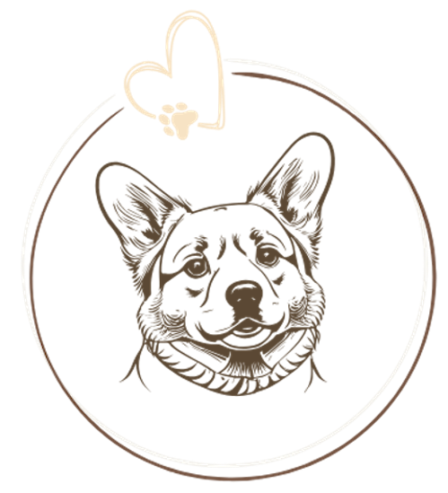 Copy of Untitled Design.png