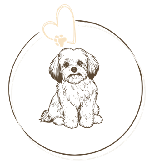 Copy of Untitled Design (1).png