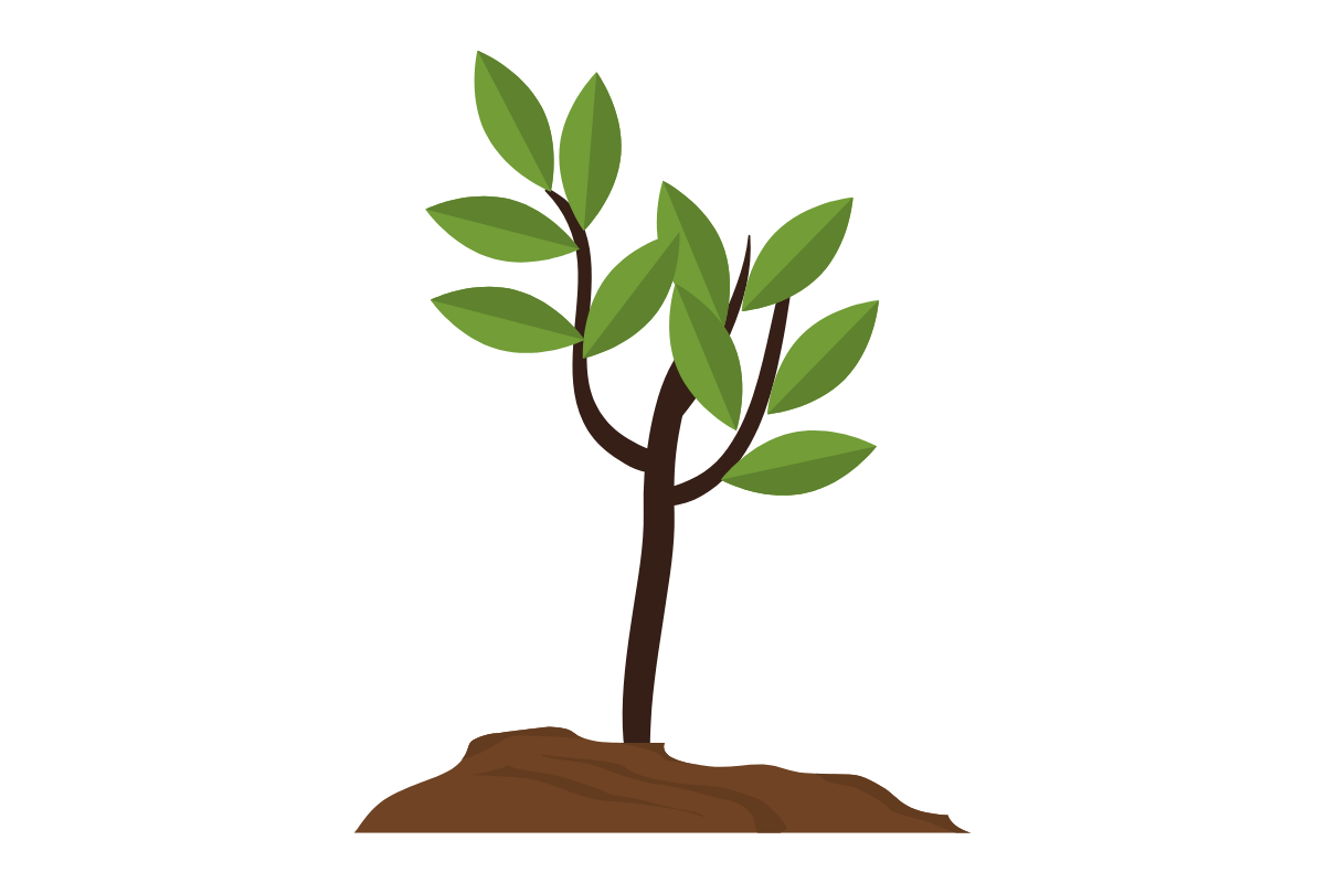 Ontwerp zonder titel (39).png