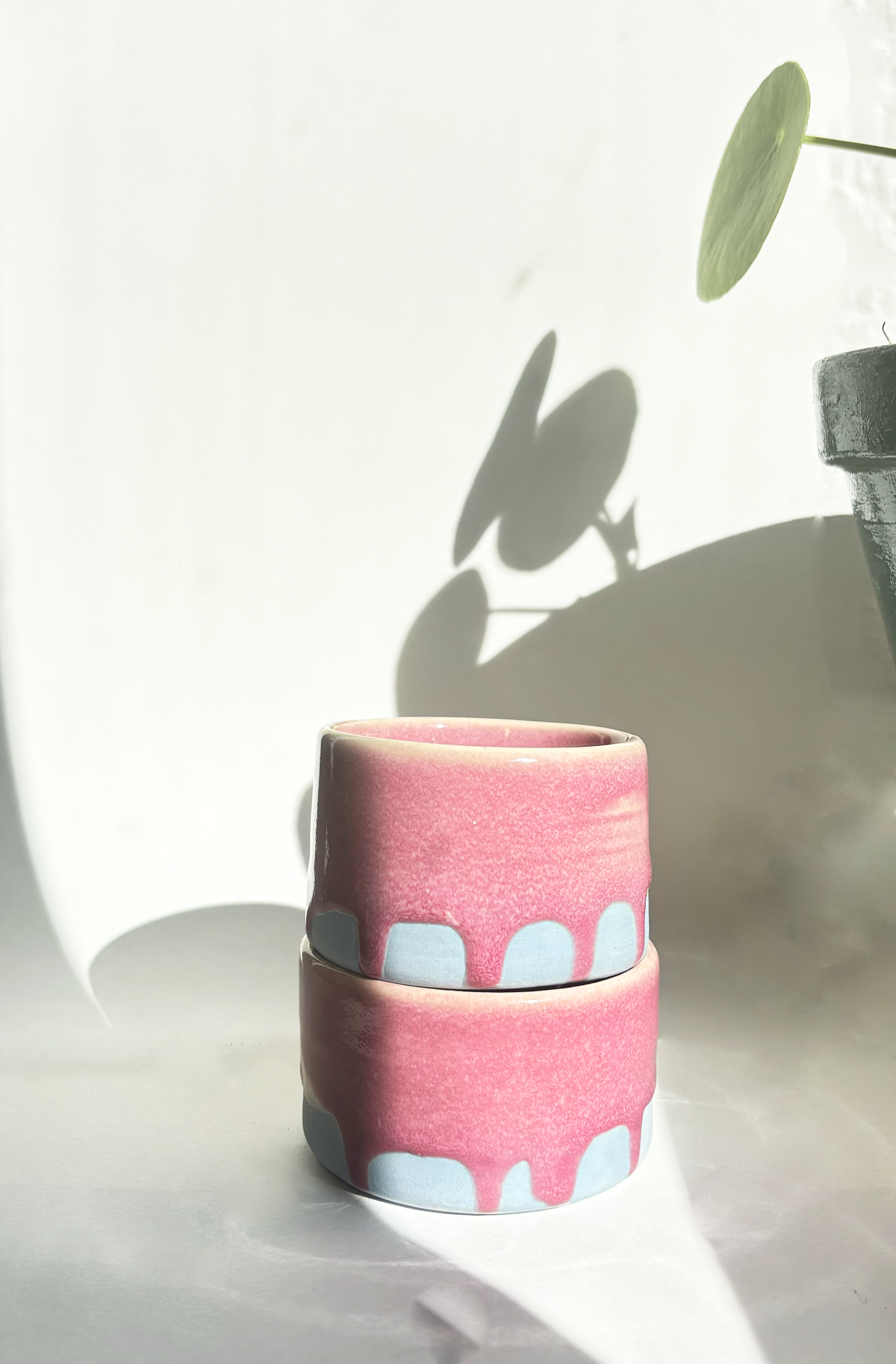 IMG_3983 copie.png
