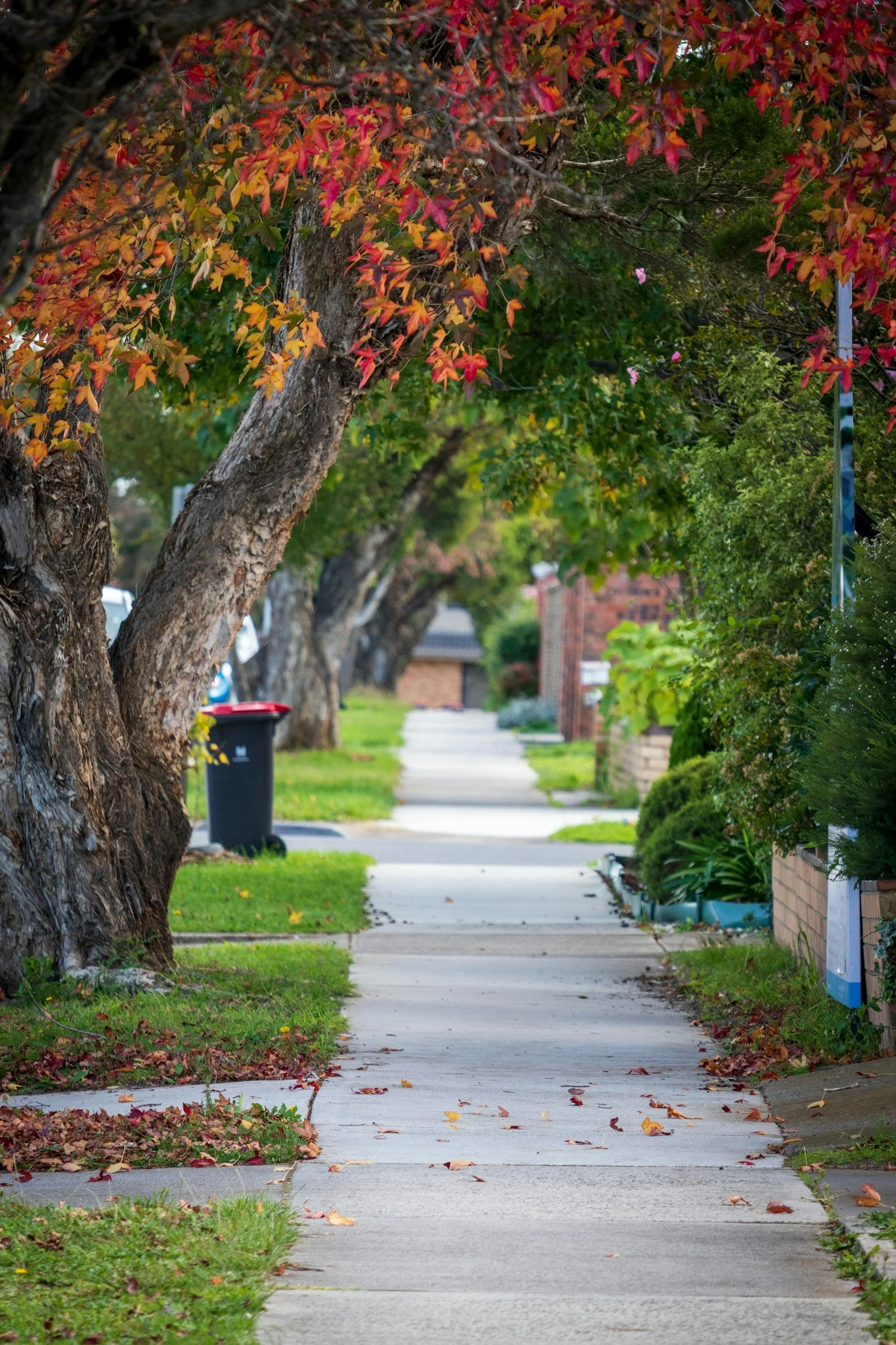 Who Is Moving to Warner Robins and Why Buyers Love Calling Middle Georgia Home