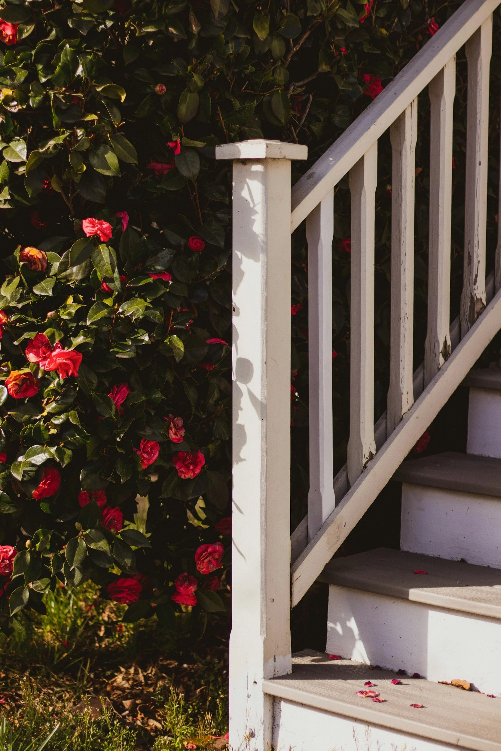 Online home estimates can vary widely in Middle Georgia. Real market value depends on local data, condition, and buyer demand—not just algorithms.