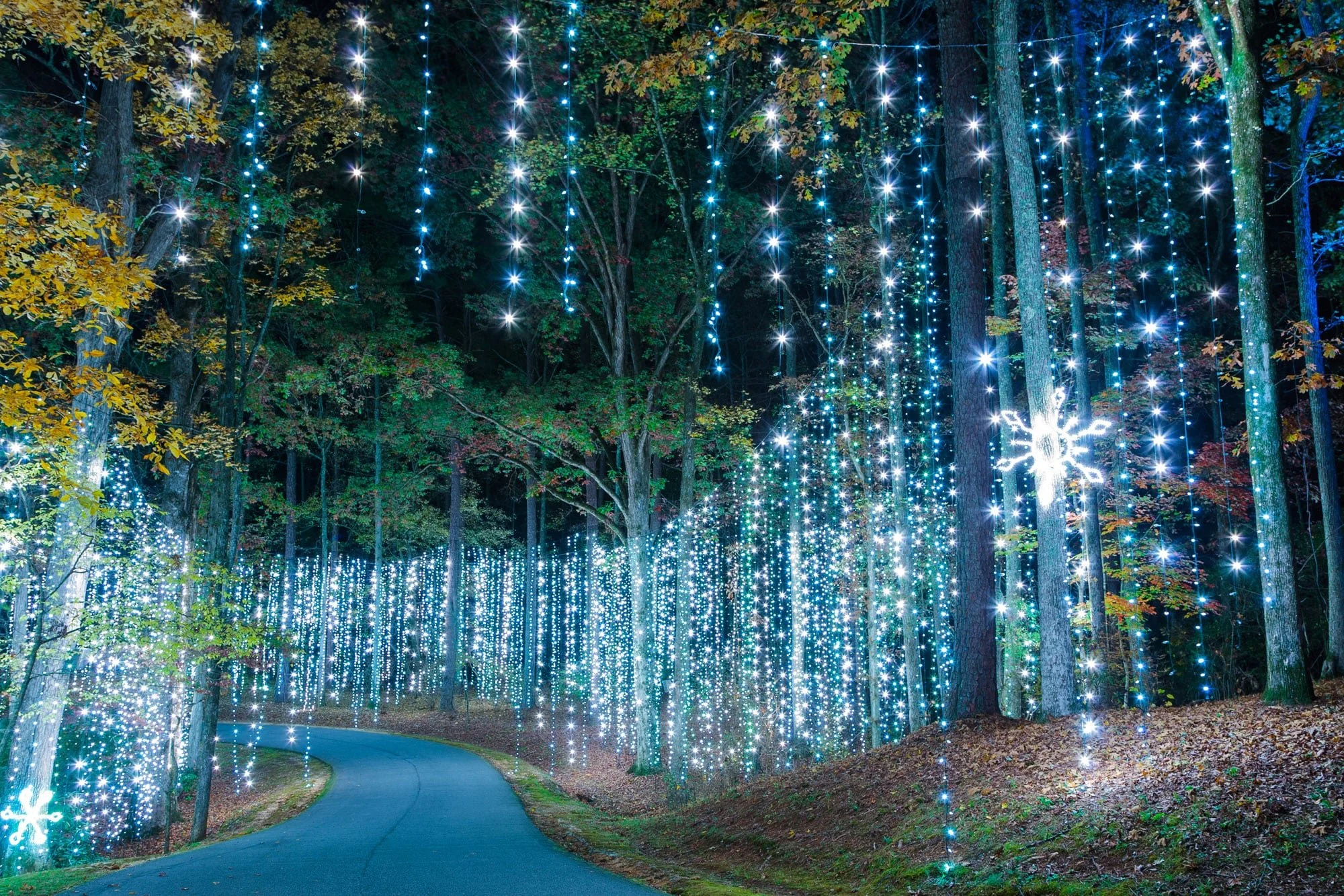 Callaway Gardens Fantasy in Lights