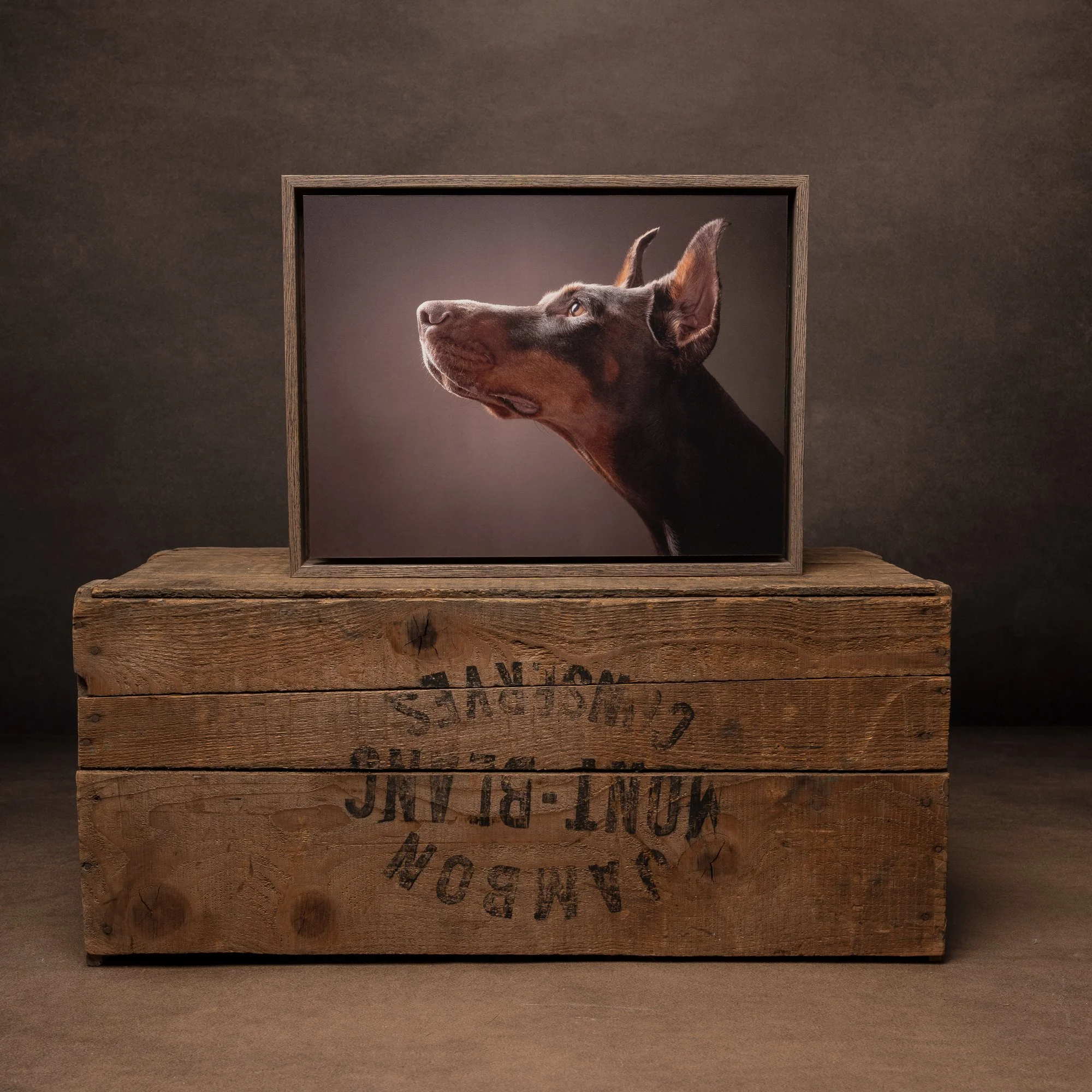 framed fine art print of a doberman displayed on a vintage crate