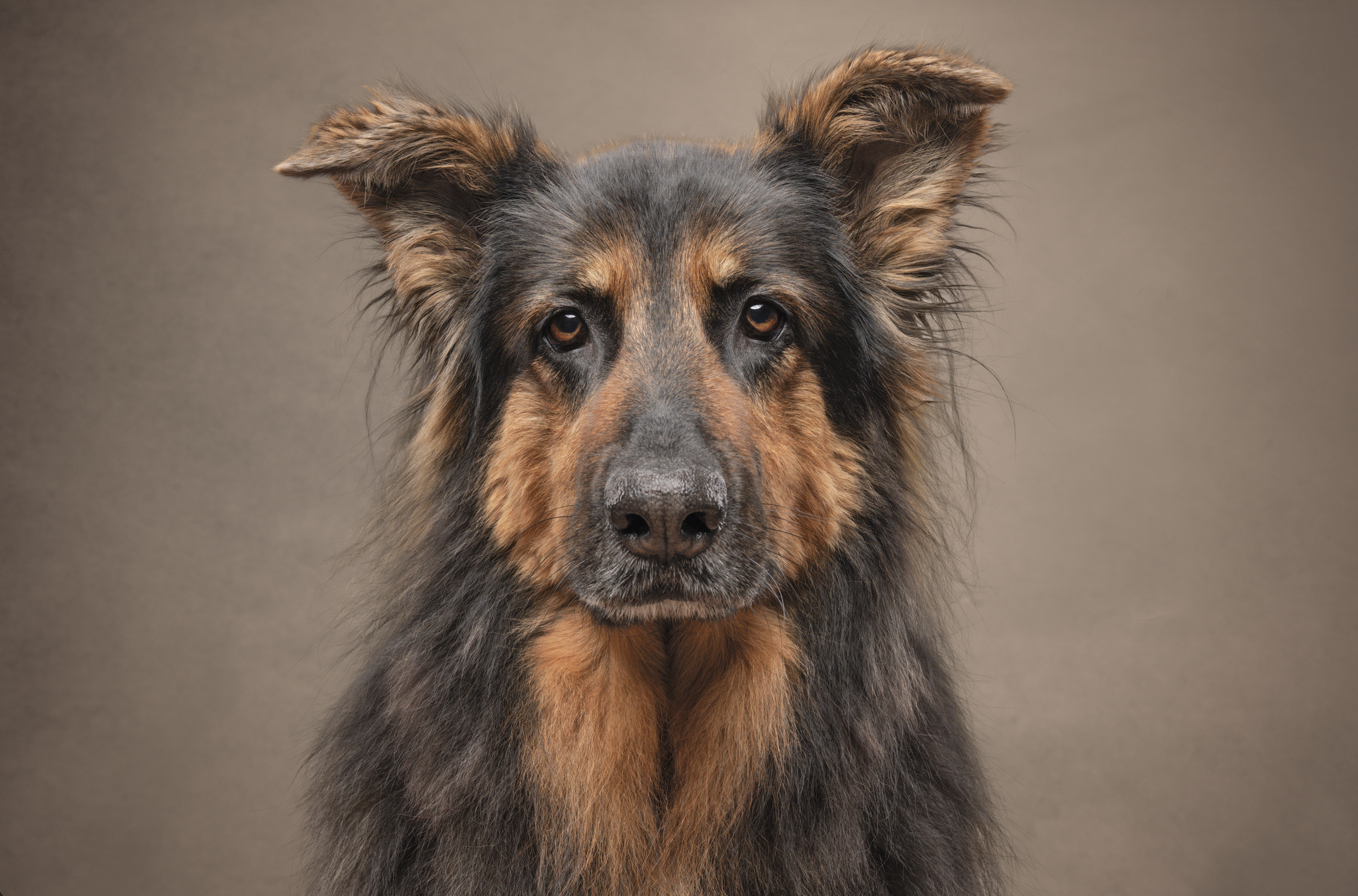 Screenshot 2026-01-31 at 17.00.01.png