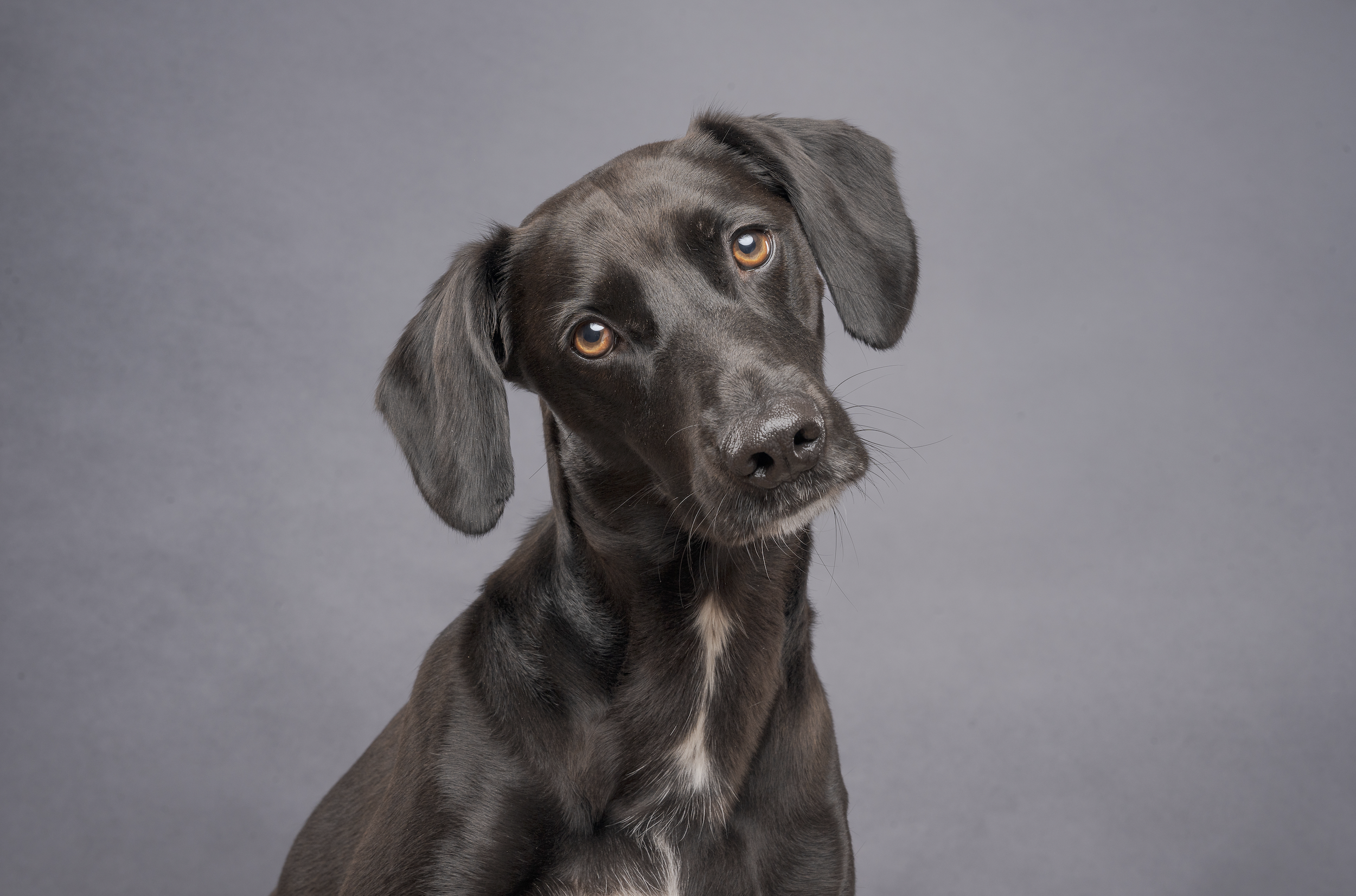 Screenshot 2025-06-13 at 15.08.15.png