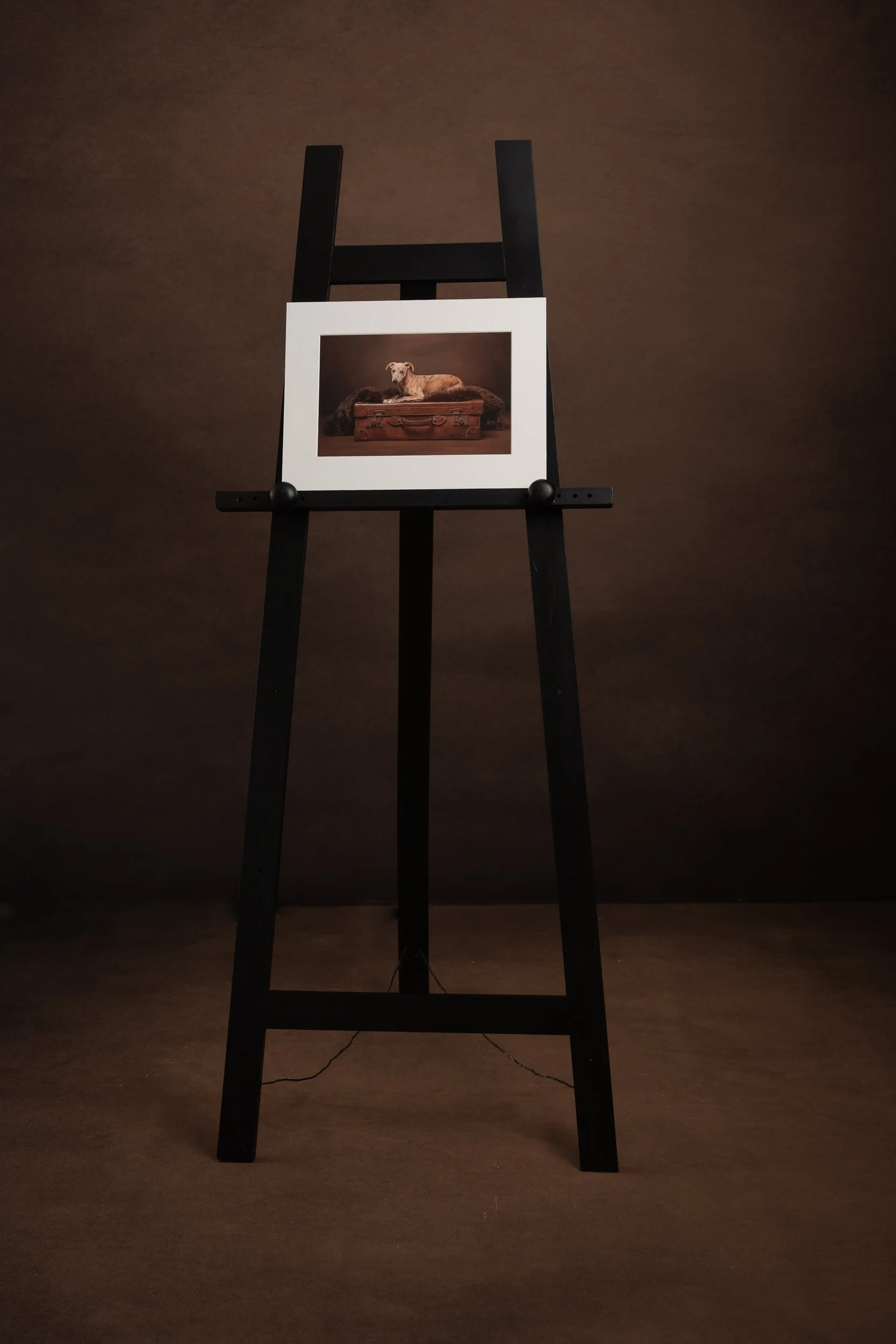 mounted photography print of a dog