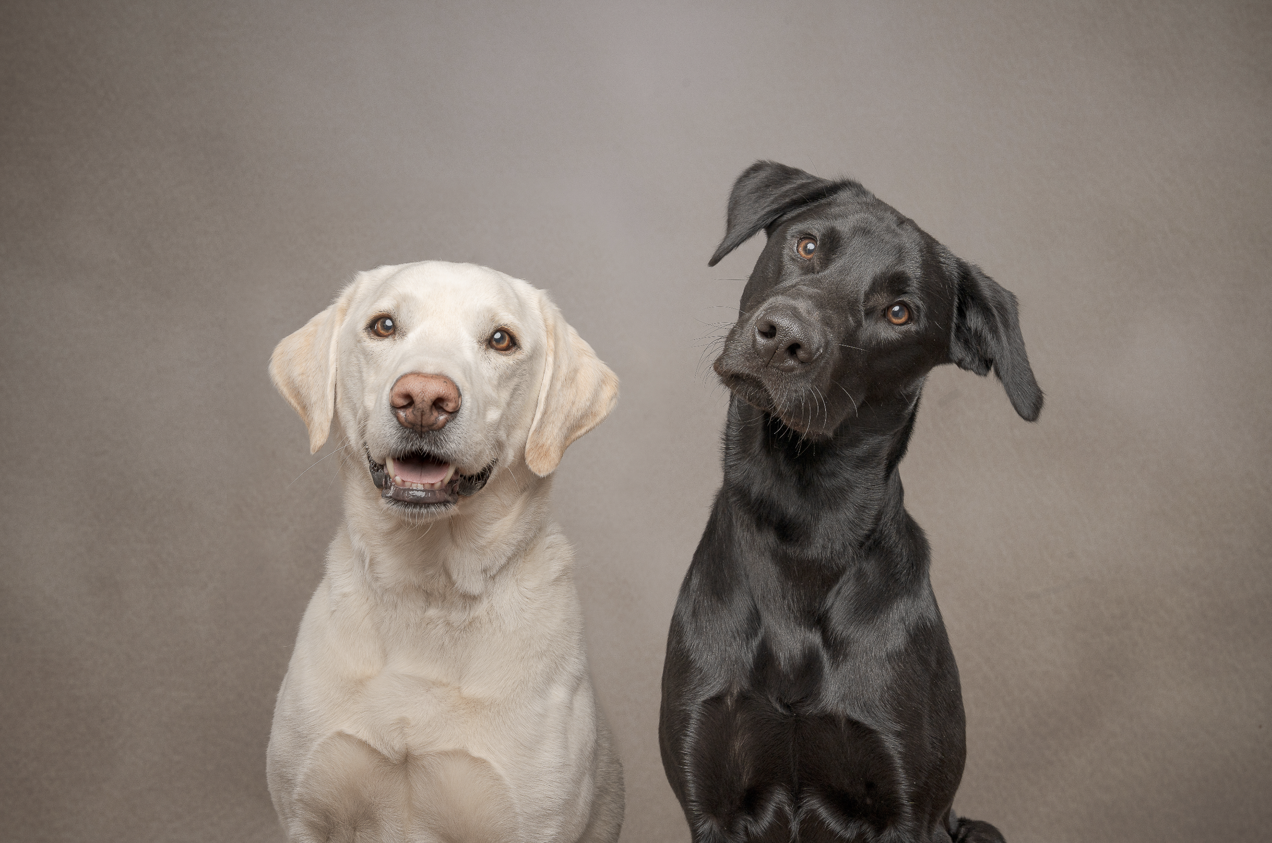 Screenshot 2025-05-05 at 11.06.57.png