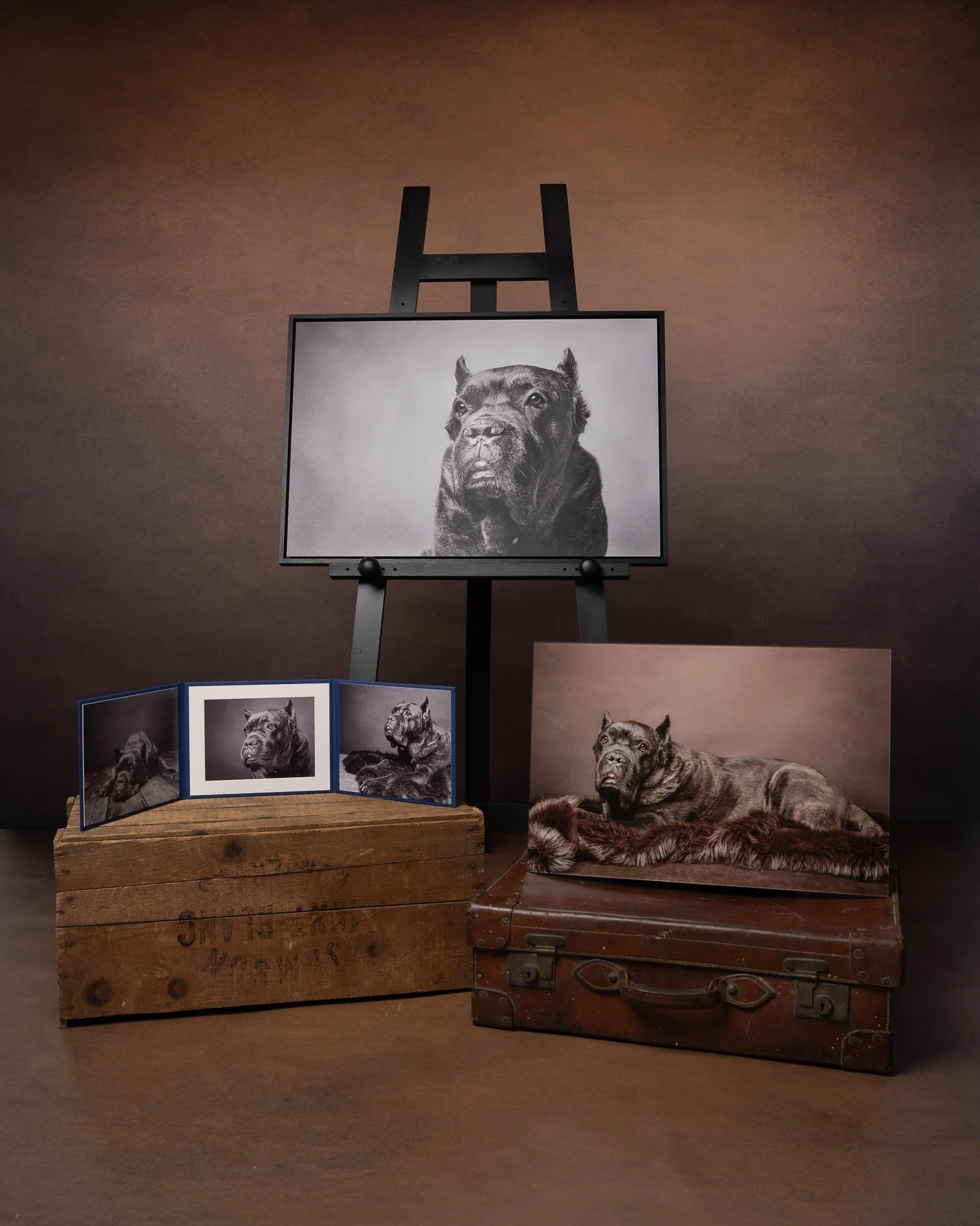 framed pictures of dogs photographed in a studio