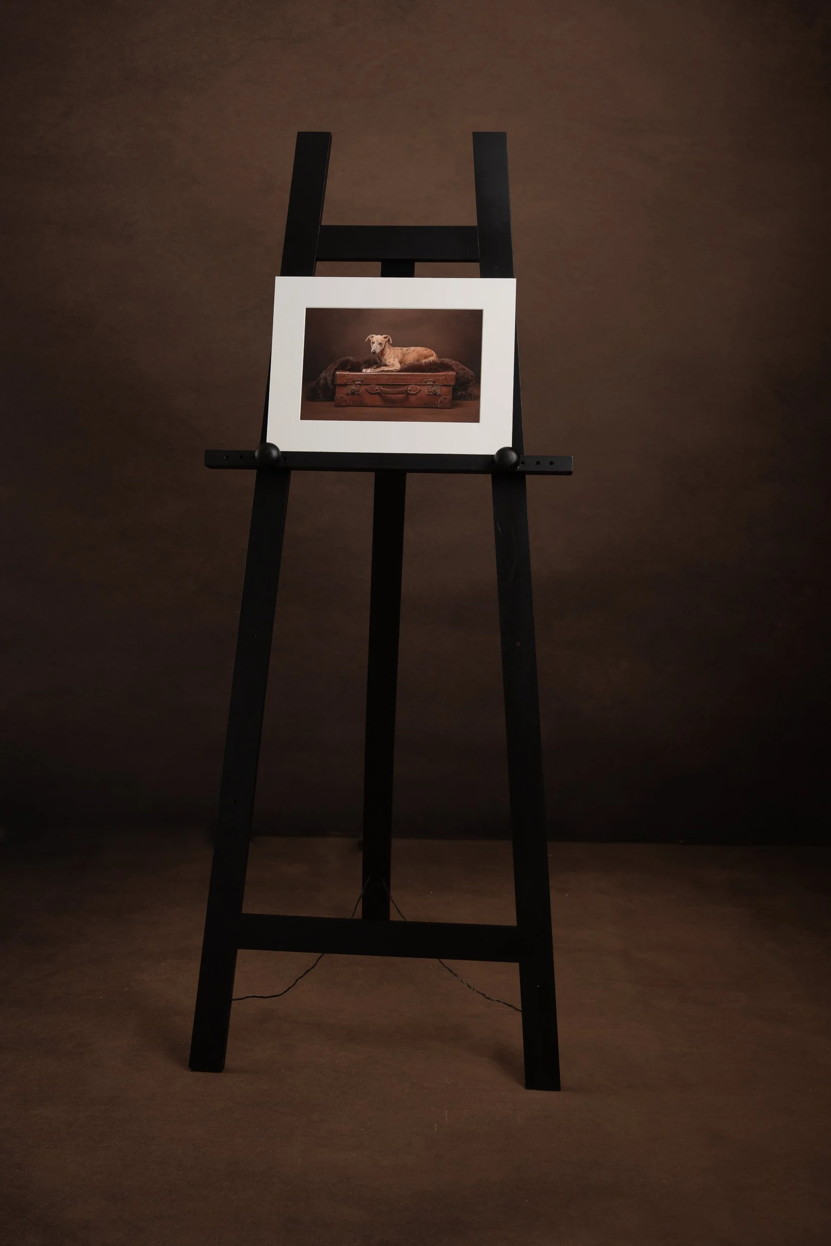 fine art mounted print,, created by Life and Landscape Photography in Billingshurst, West Sussex