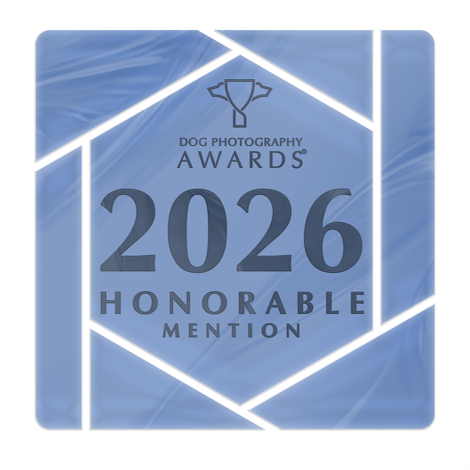 A blue award plaque for the 2026 Dog Photography Awards, noting an honorable mention.
