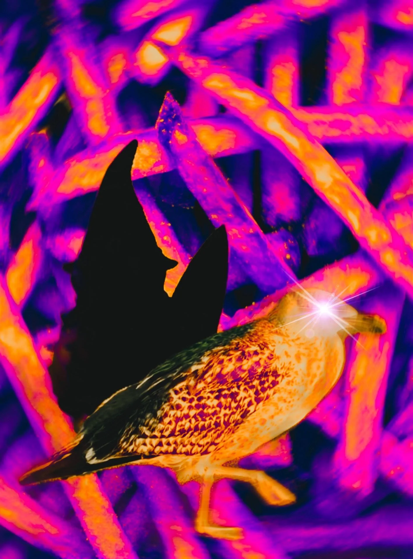 The Sea Gull Stole My Salt and Vinegar  Fry Gnome