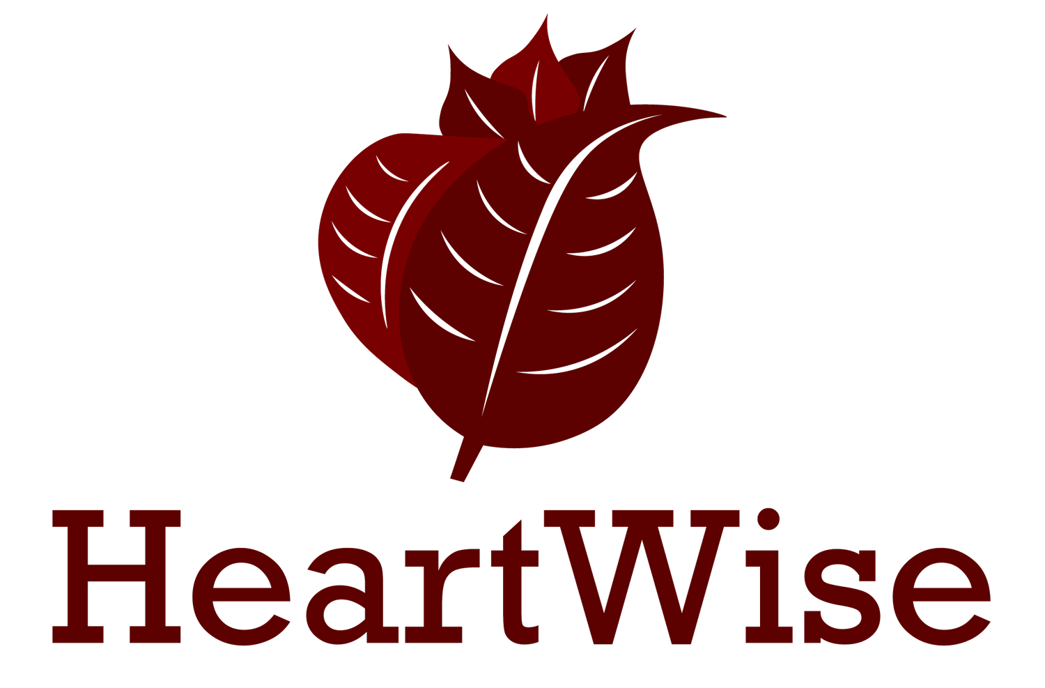 HeartWise Lab