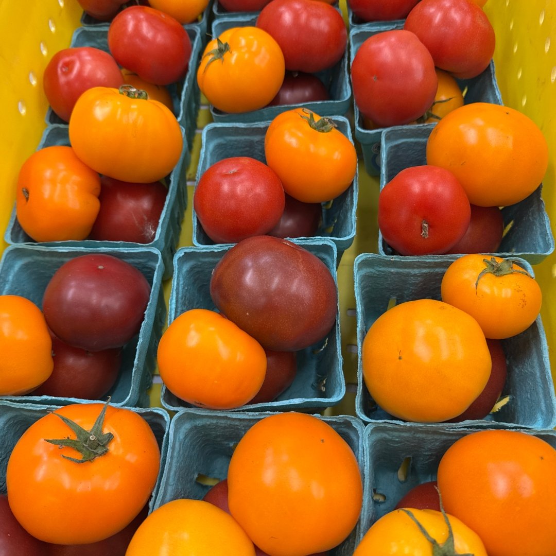 Heirloom &amp; cherry tomatoes on the way to @VineStreetMarketOFallon this morning! Certified Naturally Grown and ready to eat. Come get 'em!