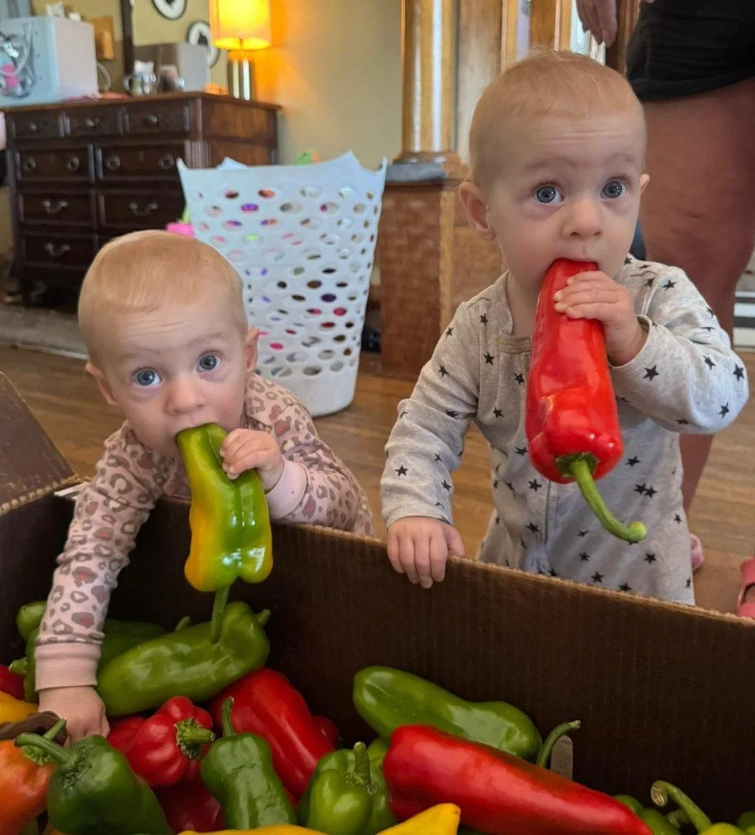 Sweet, sweet peppers! 
Order now https://leaf.localfoodmarketplace.com/Products