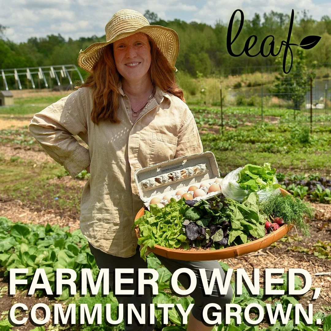 Ever wondered who grows your food?
Meet the hands behind LEAF Food Hub &mdash; real farmers right here in Southern Illinois. We built LEAF because we believe our community deserves honest food from people you actually know.
Every tomato, egg, and loa