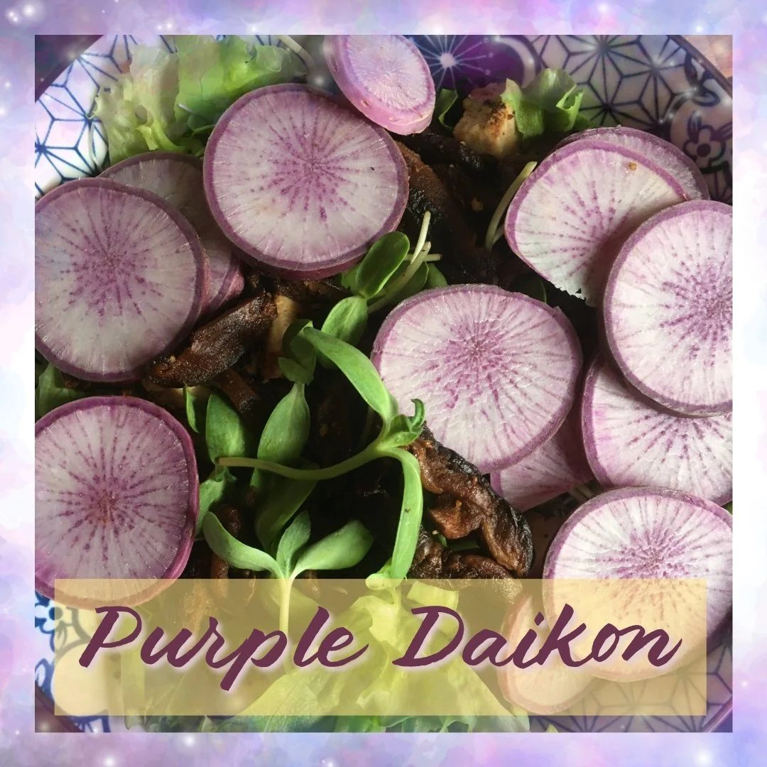 Add some purple to your diet with PURPLE DAIKON! Beautiful coloring inside and out, this daikon has a nice crunch, great for fresh salads, snacking, sandwiches.... also good in soups, stews and of source, KIMCHI!
These roots were grown by Farmer Adri