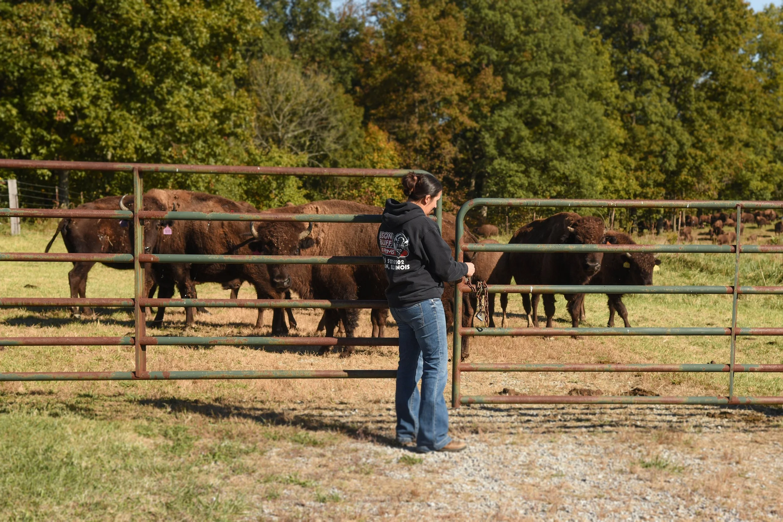 Margaret of Bison Bluff