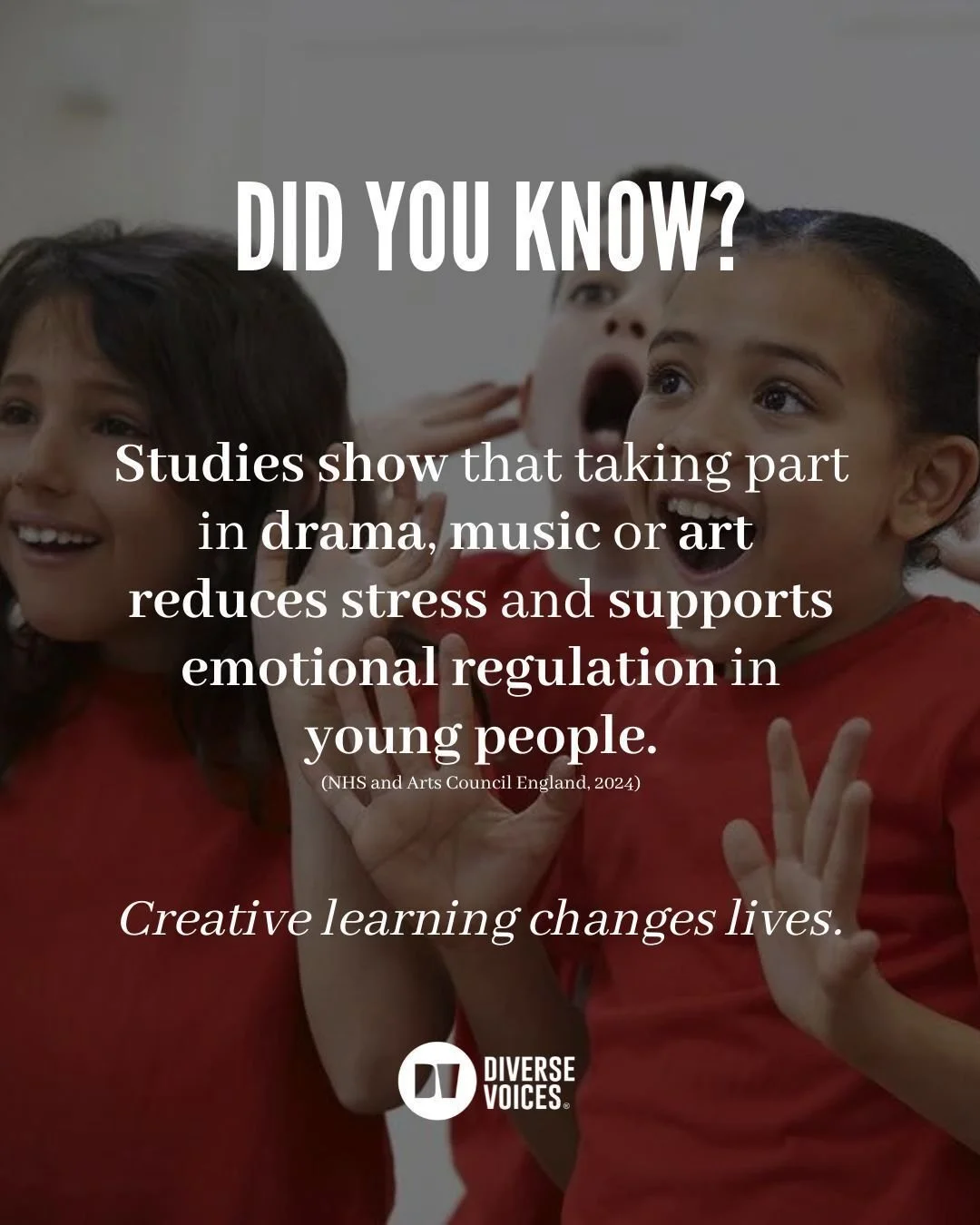 Research shows that young people who take part in the arts are more likely to stay engaged in school, develop stronger communication skills, and grow into more confident adults.

At Diverse Voices, we bring drama to young people in every setting, fro