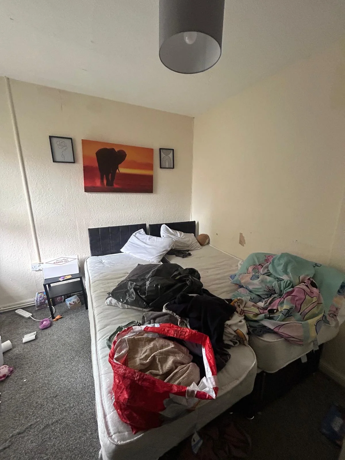 WhatsApp Image 2026-02-12 at 20.57.40.jpeg