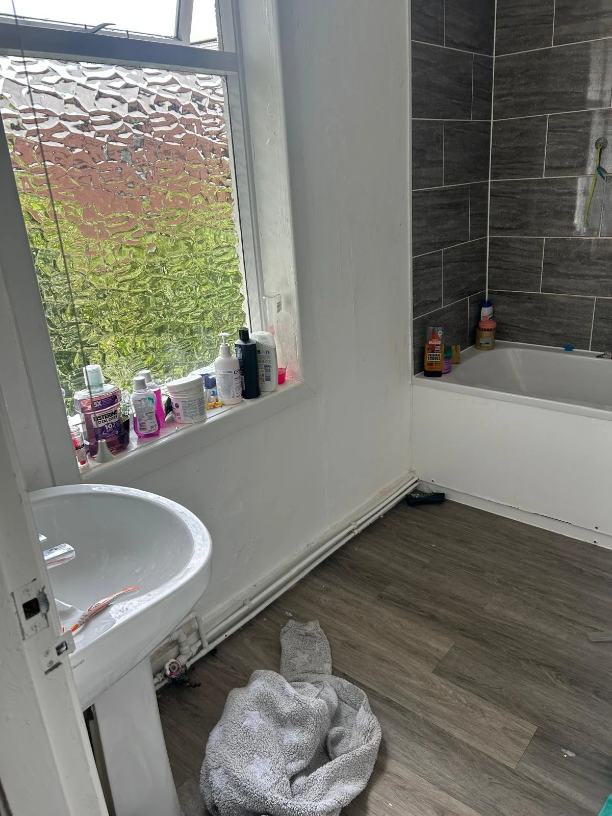 WhatsApp Image 2026-02-12 at 20.56.58.jpeg