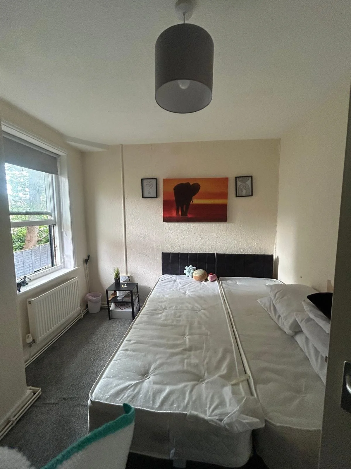 WhatsApp Image 2026-02-12 at 20.57.50.jpeg