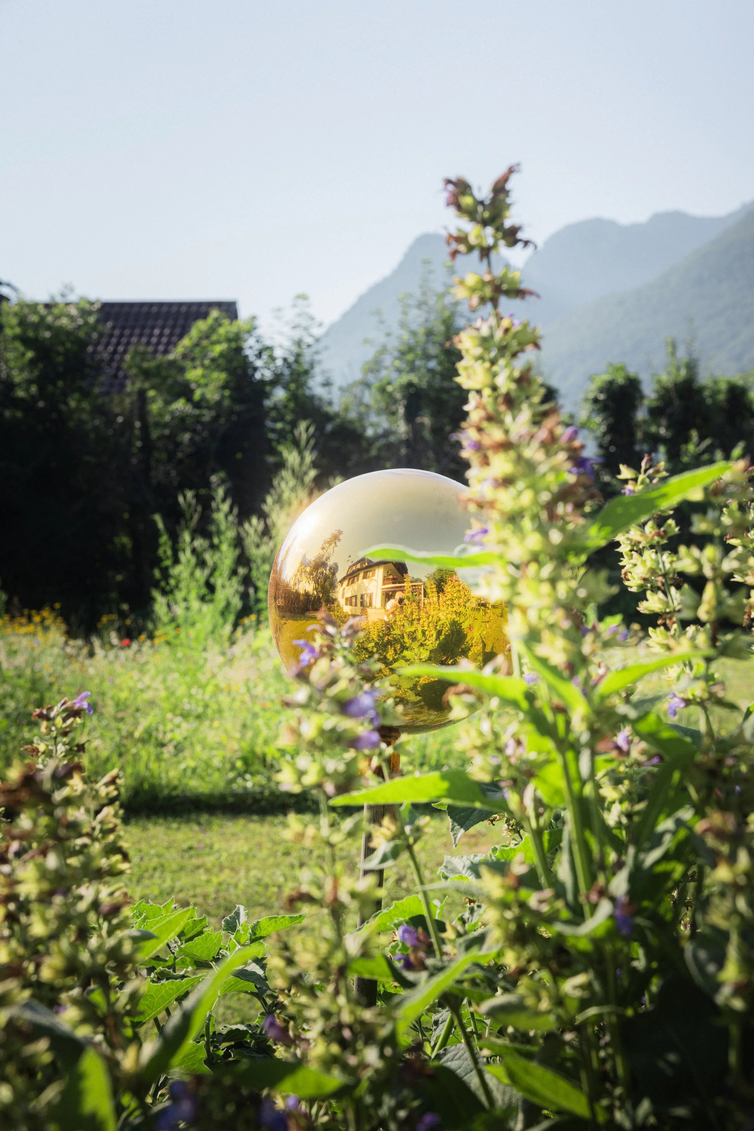 Yoga-Auszeit in Esterer’s Obstgarten 🌿