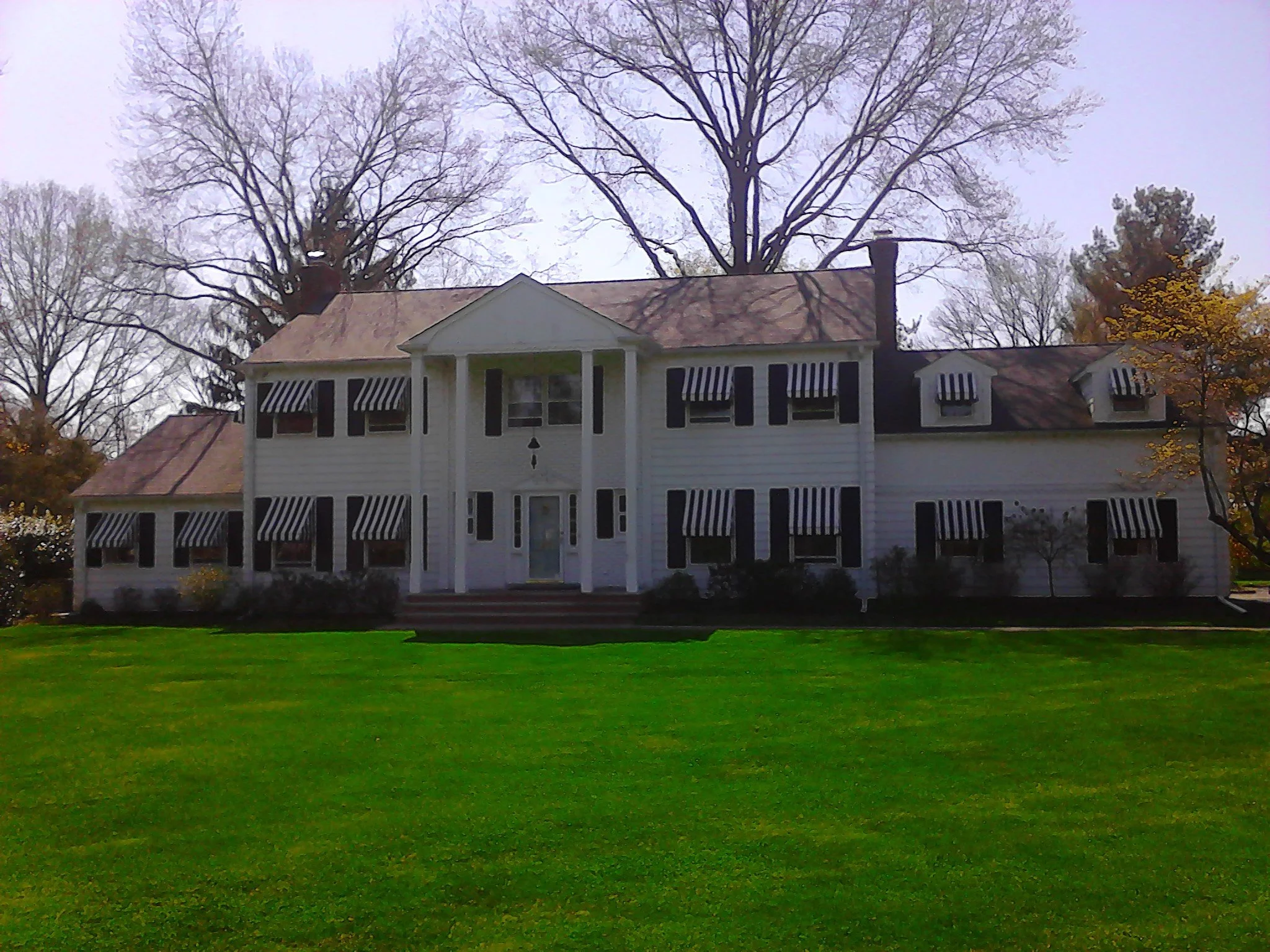 IMG_20130426_105259.jpg