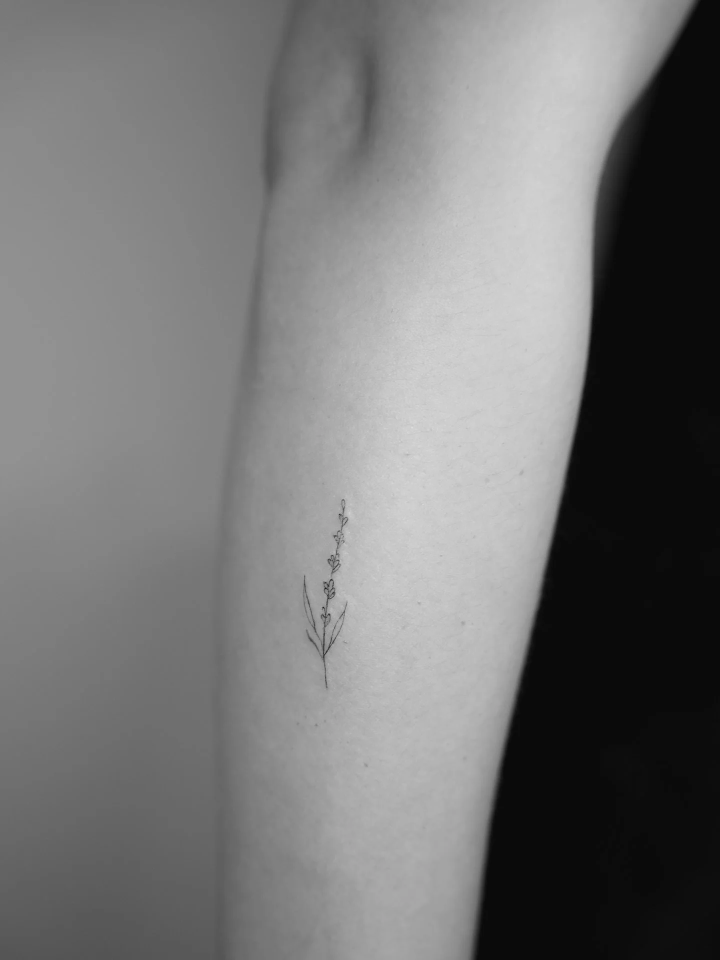 So viele sch&ouml;ne Motive die ich in D&uuml;sseldorf wieder stechen durfte! Ich bin sehr dankbar daf&uuml;r, dass so viele tolle Menschen zu mir kommen - mir und meiner Arbeit vertrauen.

Ende Januar werde ich wieder in D&uuml;sseldorf sein. Schrei