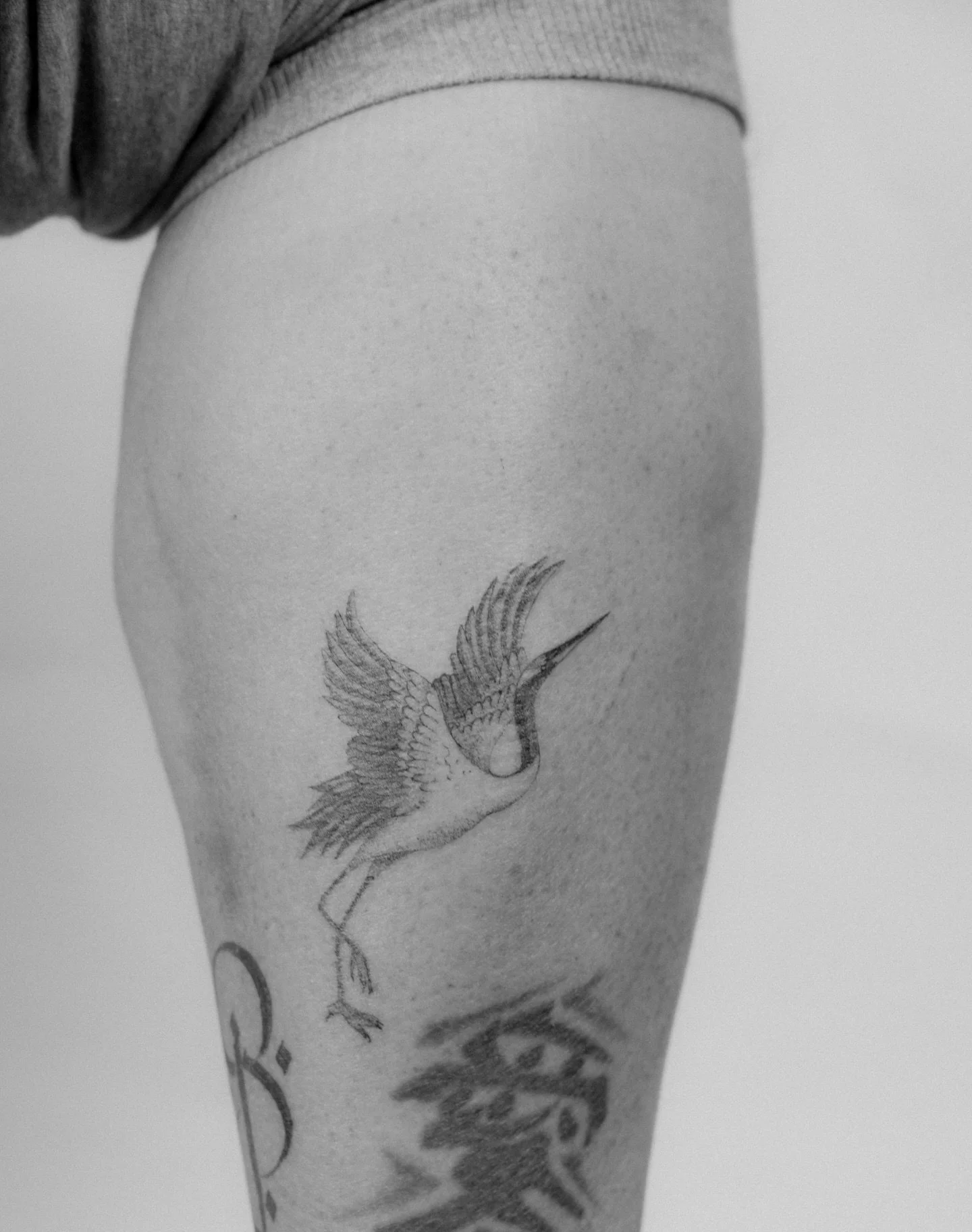 Modellarbeit eines Kranichs, &uuml;ber den ich auch etwas stolz bin 🥰 und weil der Kranich euch so gut gefallen hat, gibt&rsquo;s den jetzt auch im Feed. 

Ich bin immer wieder offen f&uuml;r Modellarbeiten im Bereich Mikrorealismus. Falls du eine I