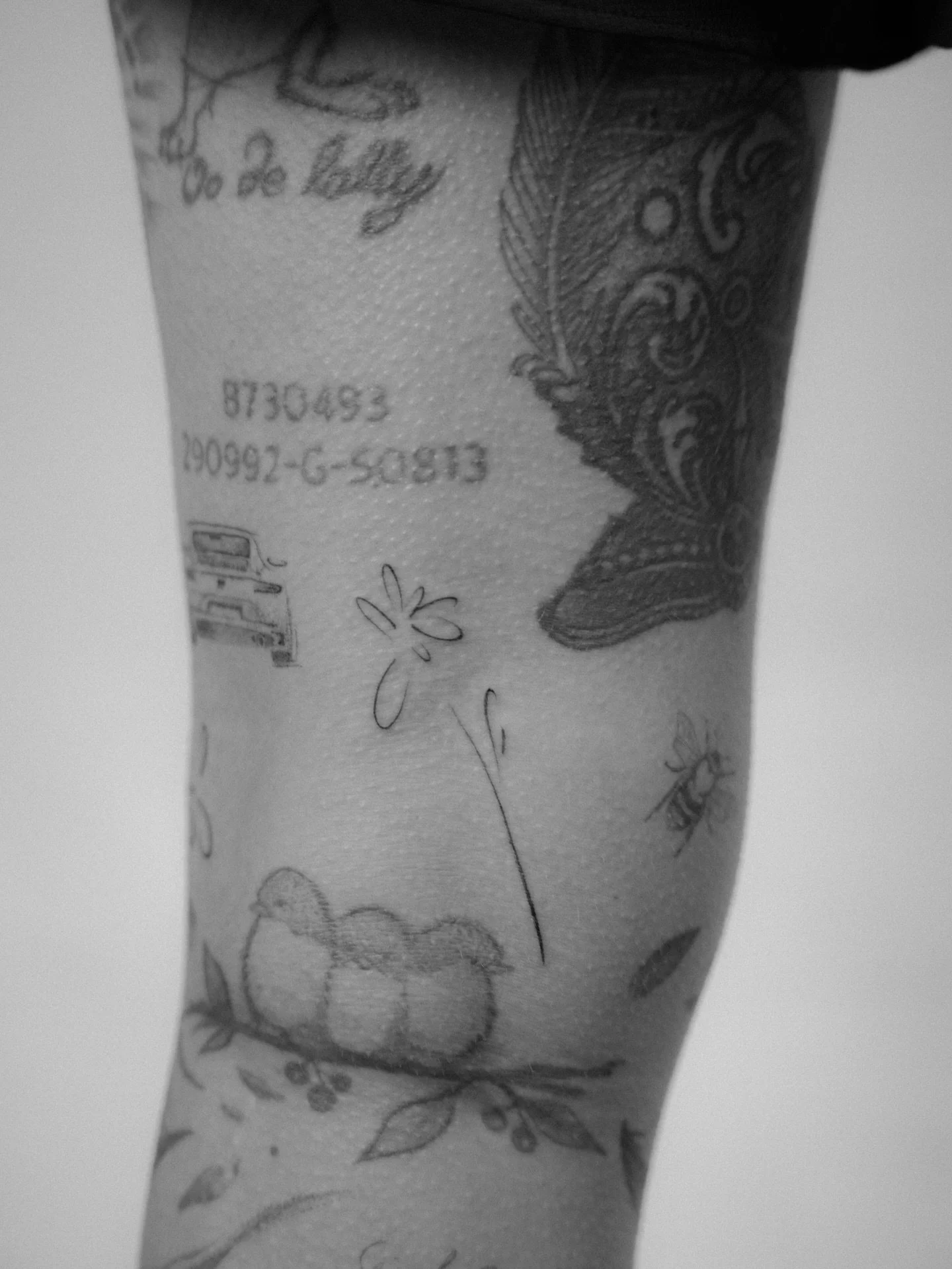 Neue abstrakte Blumen f&uuml;r meine liebe Kundin, zu dem verheilten Porsche und der kleinen Hummel 💘

Wenn du dir ein &auml;hnliches Projekt w&uuml;nschst
oder eine Idee im Kopf hast &ndash;
Schreib mir eine DM oder f&uuml;ll das Buchungsformular a