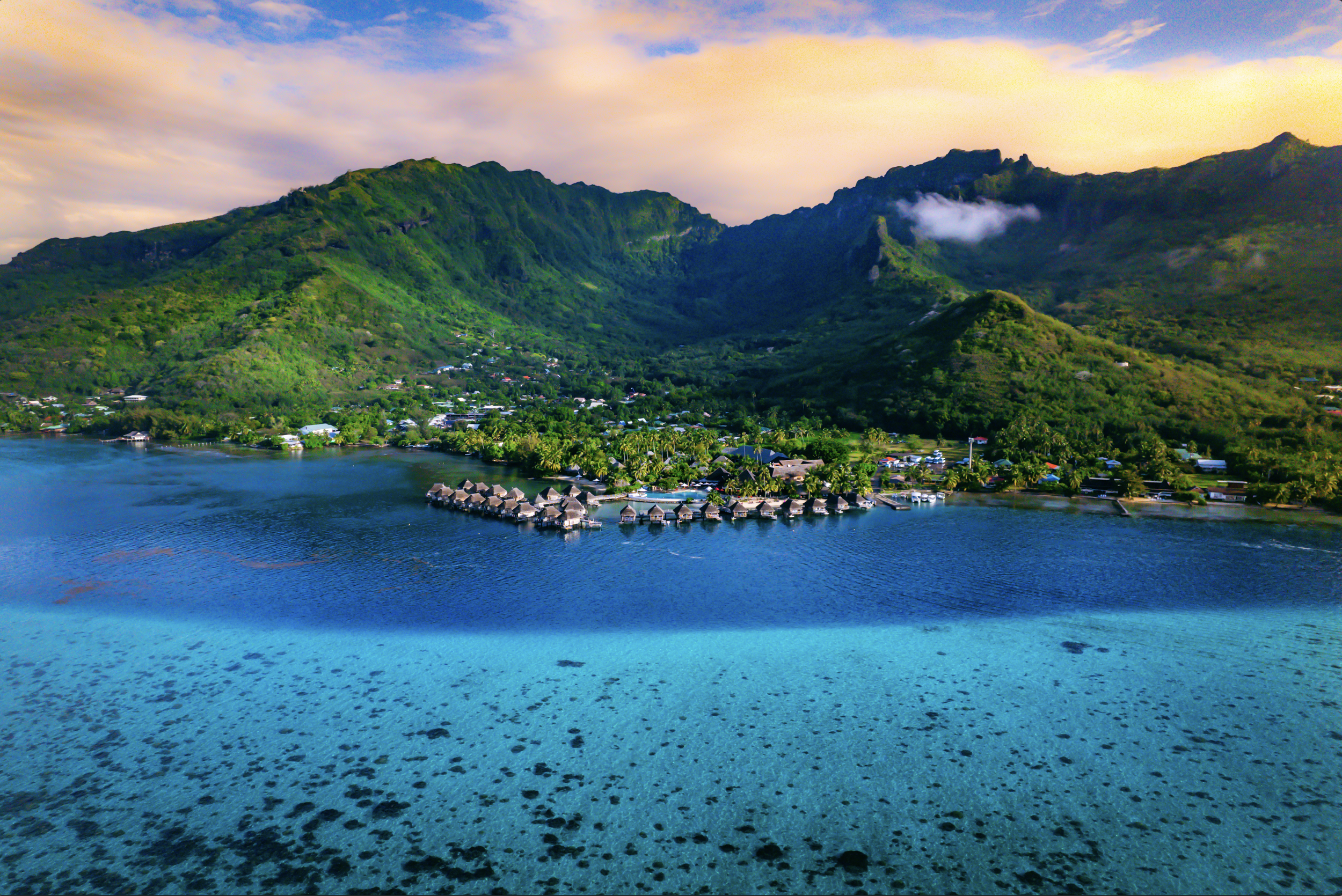 Restoring Coral Reefs in Mo’orea