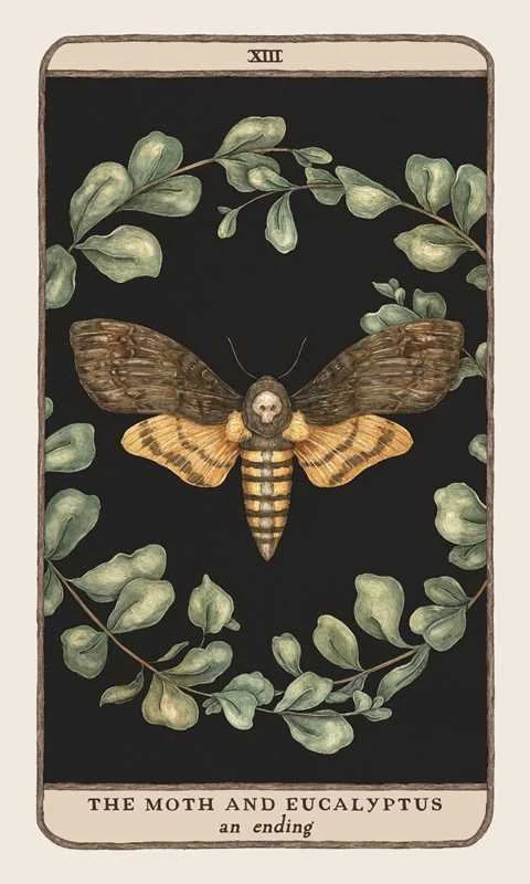 woodland-wardens-oracle-moth.jpeg