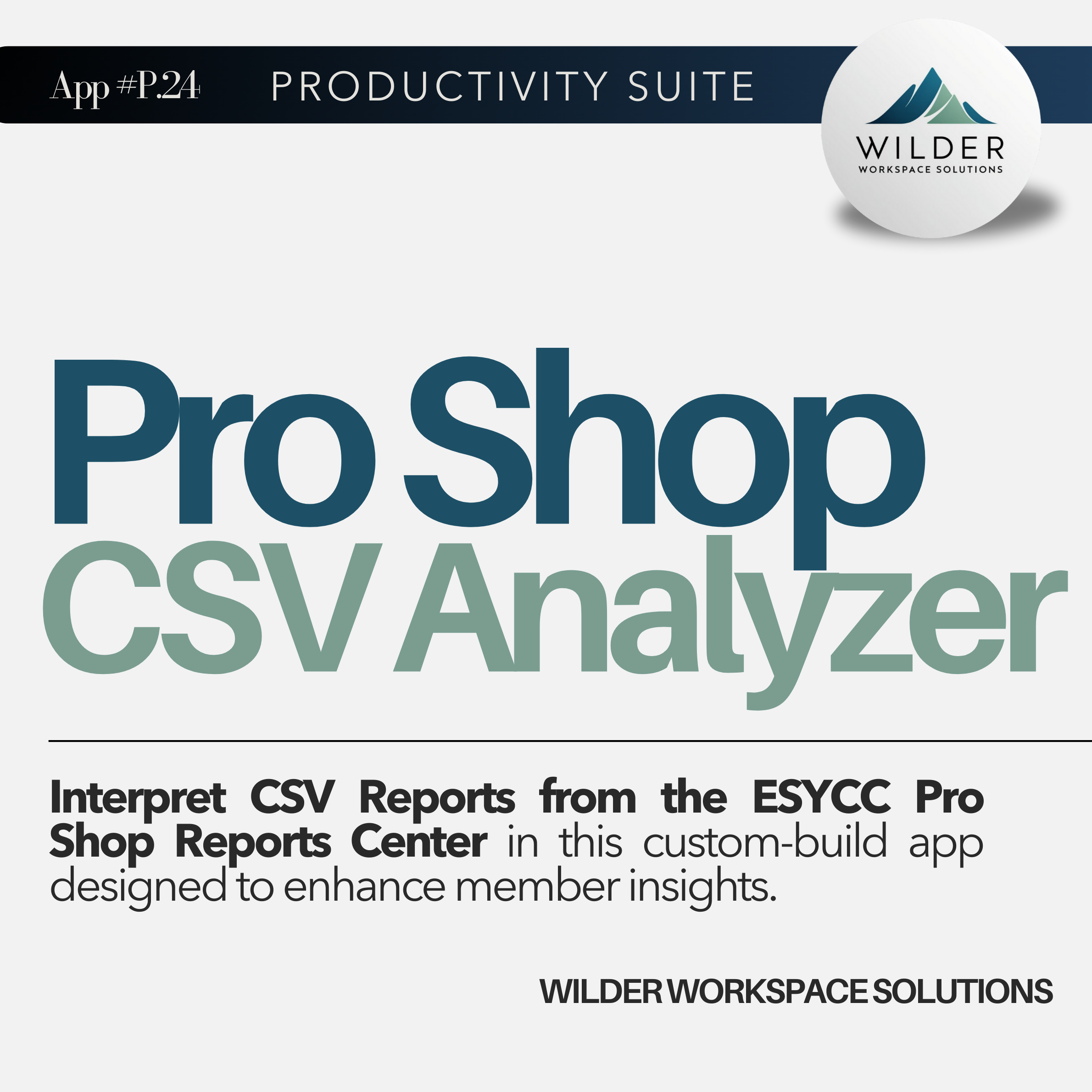 Wilder Workspace Solutions (1).png