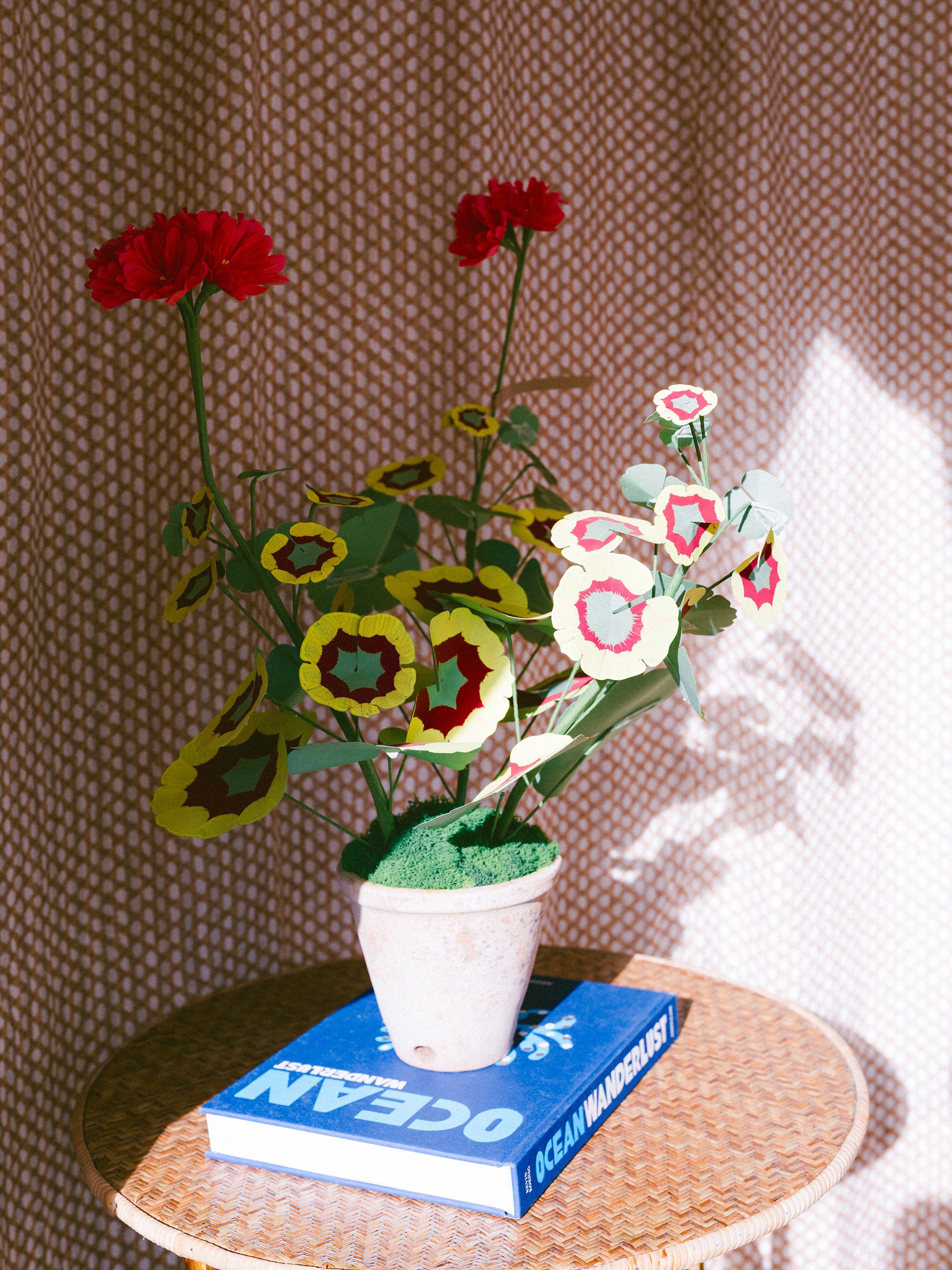 Vignettes03.jpg
